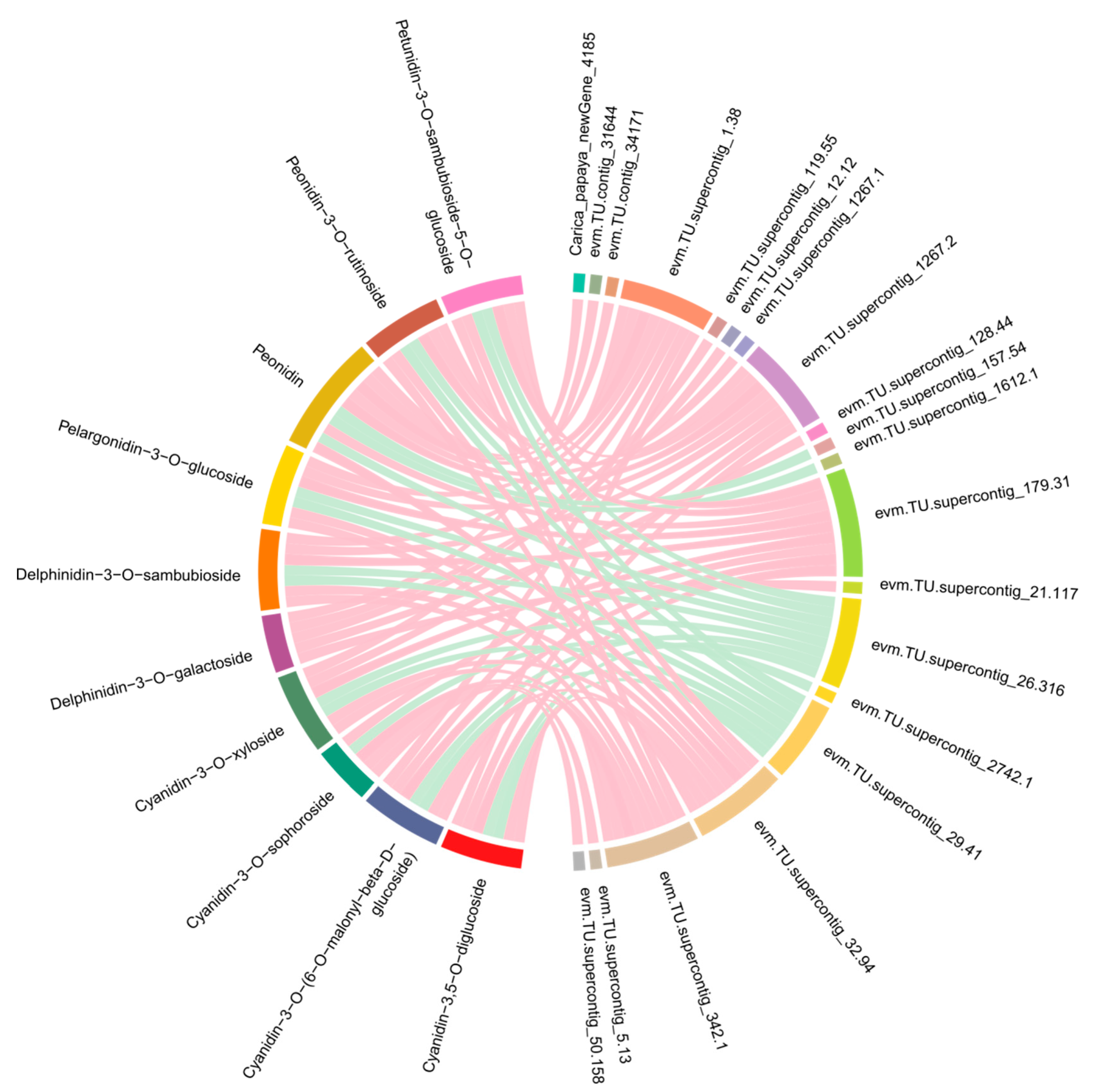 Molecules 29 01485 g006