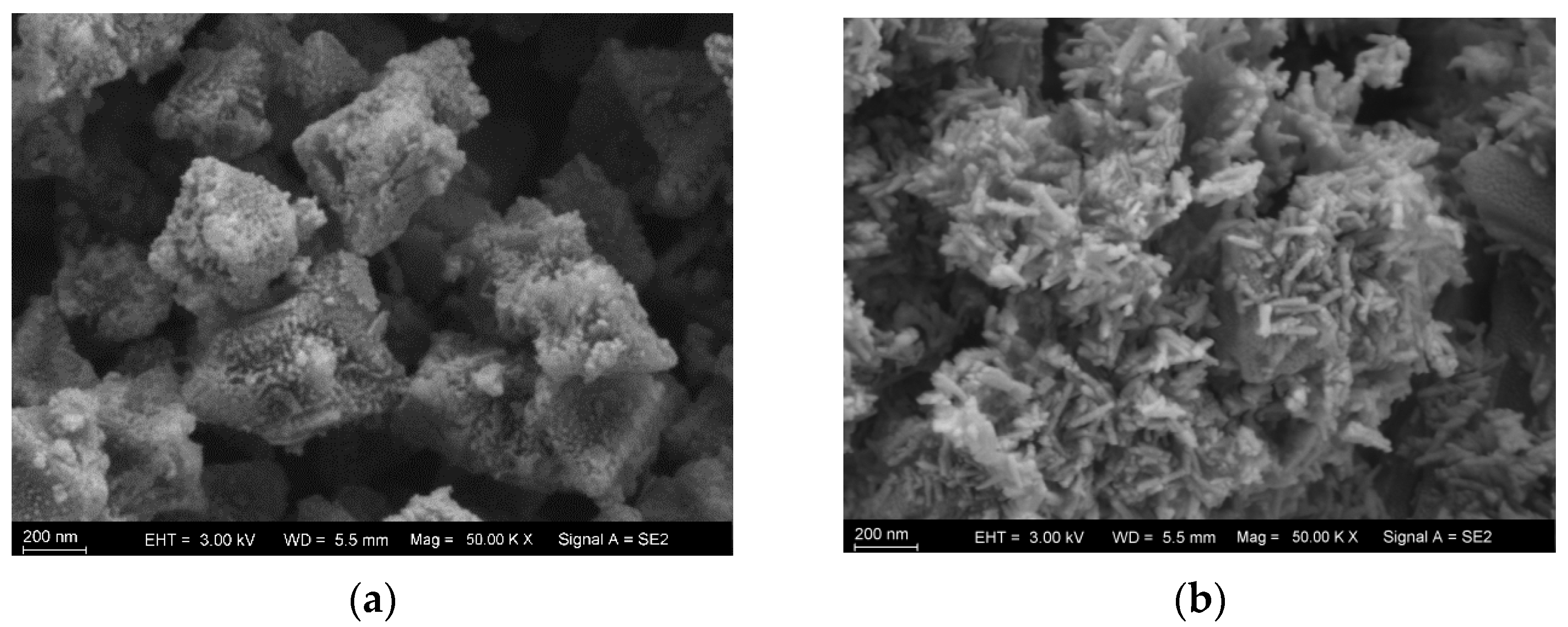 Molecules 29 01488 g002