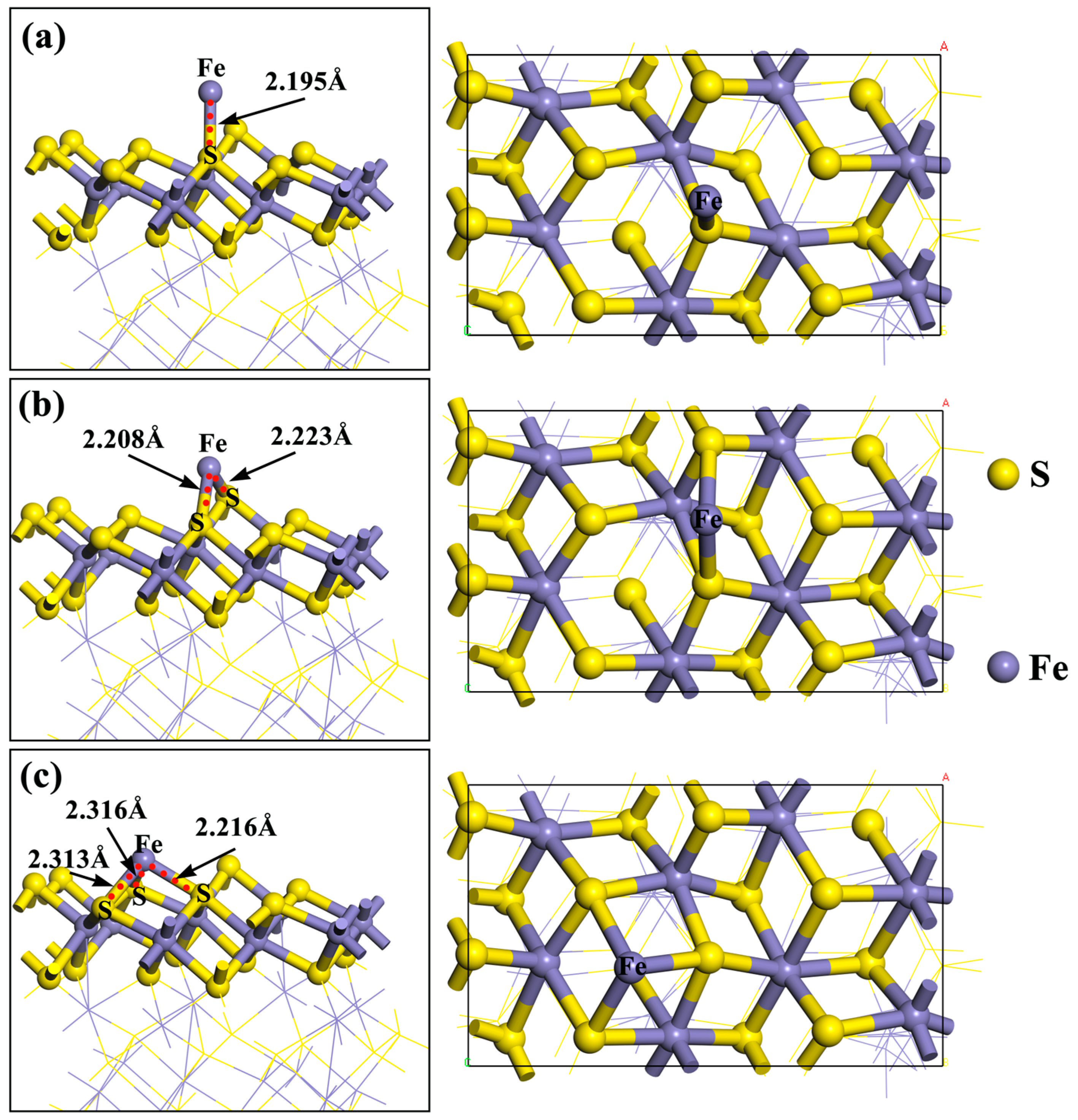 Molecules 29 01490 g003
