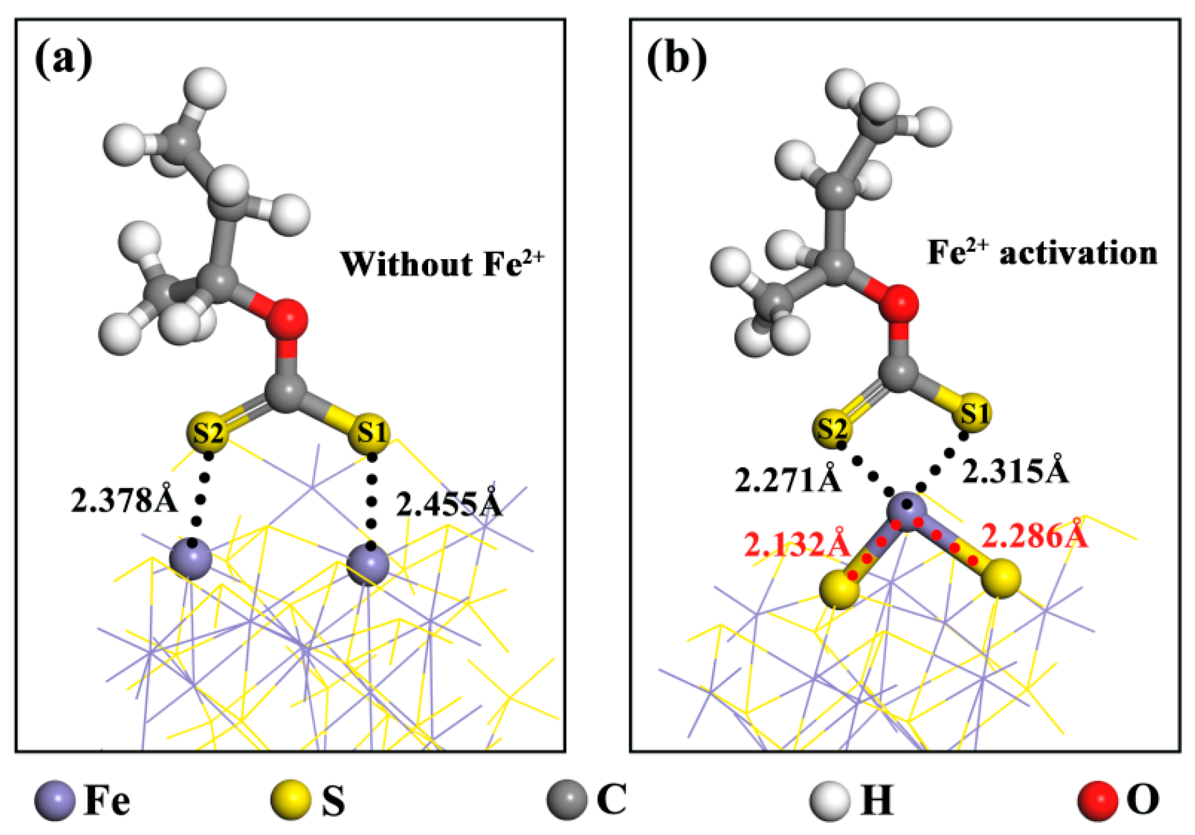 Molecules 29 01490 g005