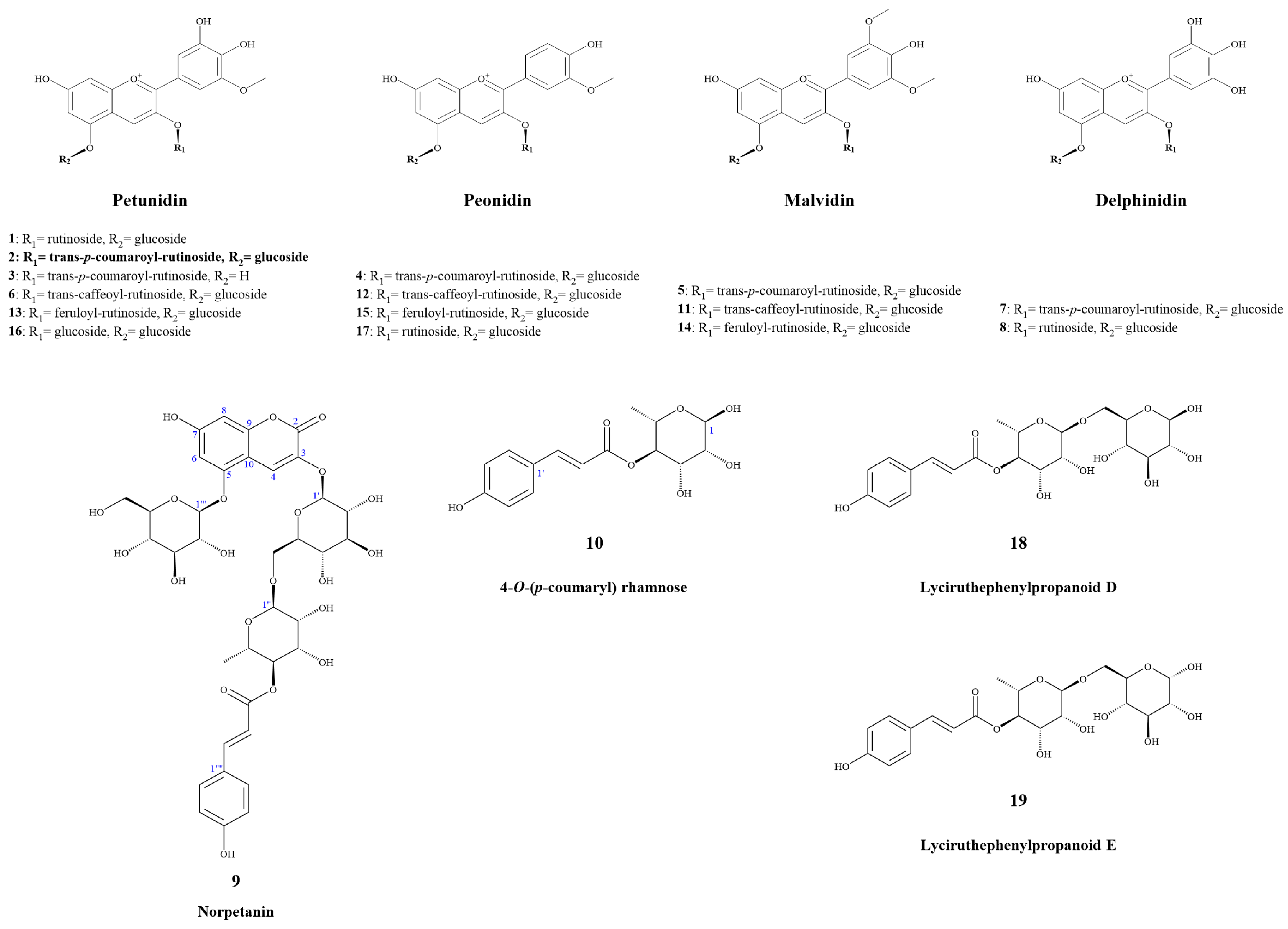 Molecules 29 01492 g001