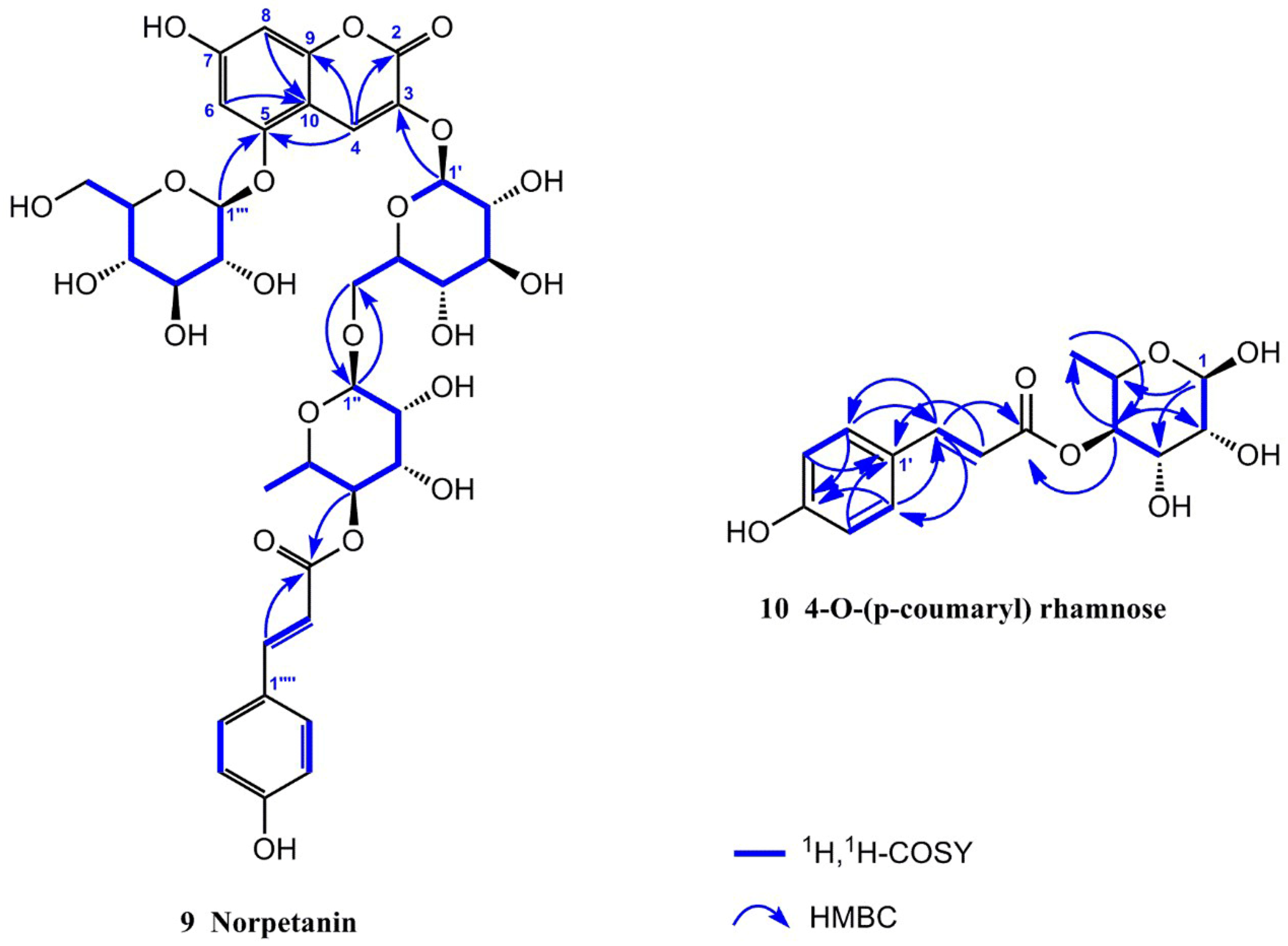 Molecules 29 01492 g002