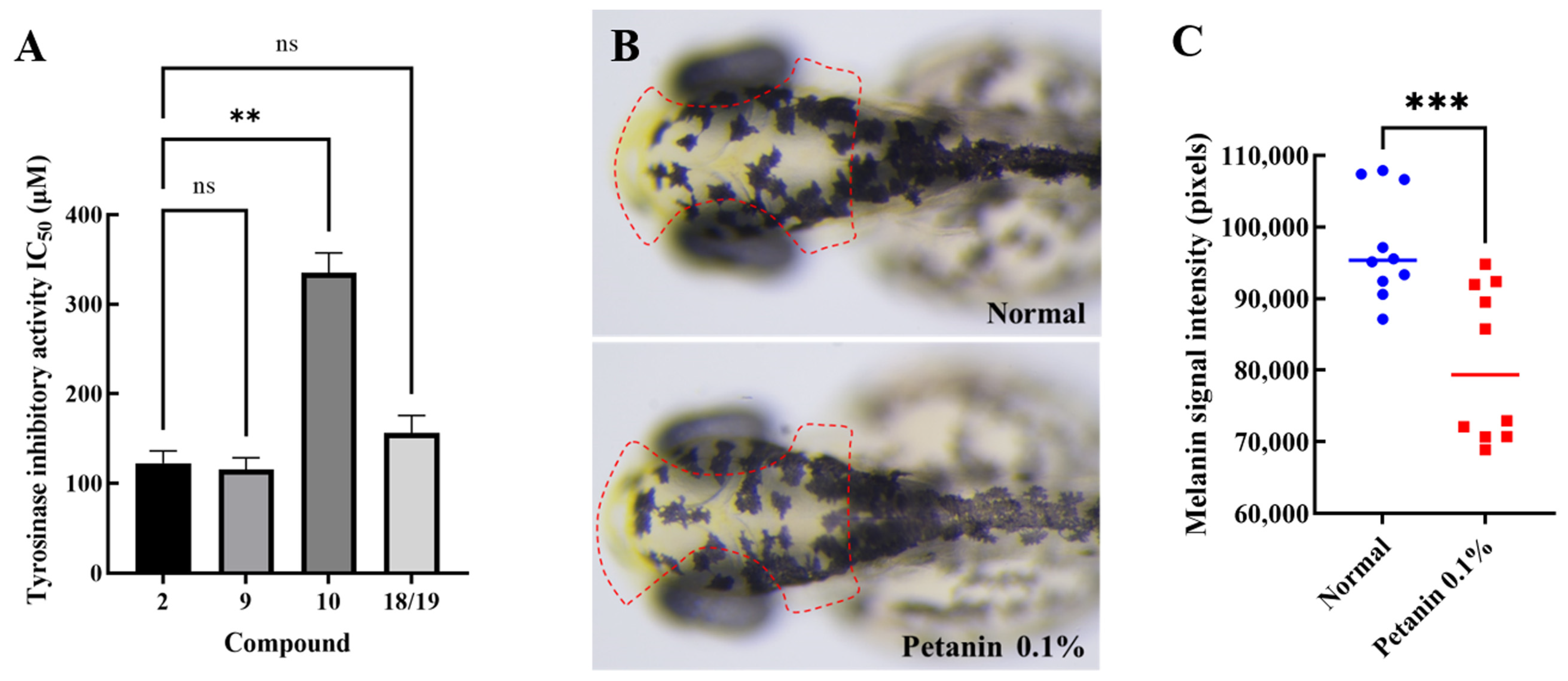 Molecules 29 01492 g003