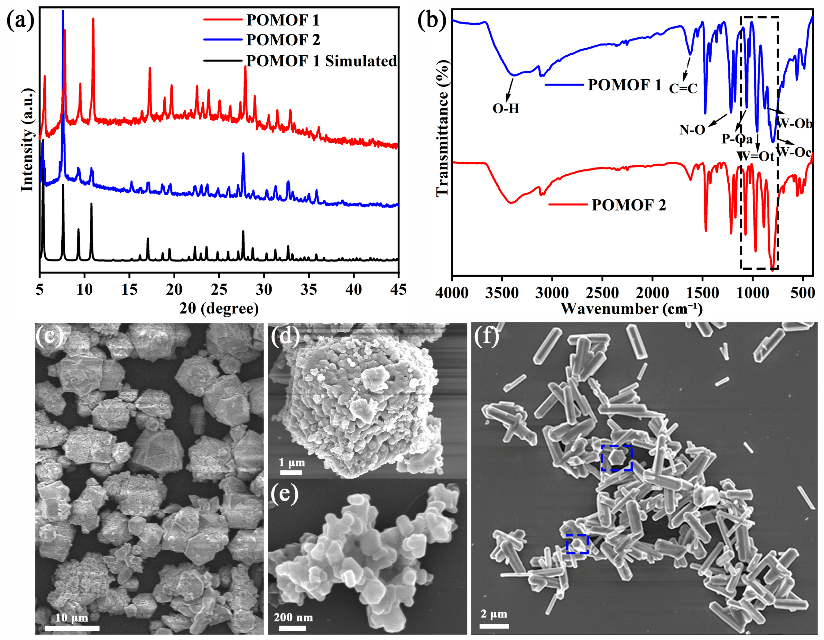 Molecules 29 01493 g001