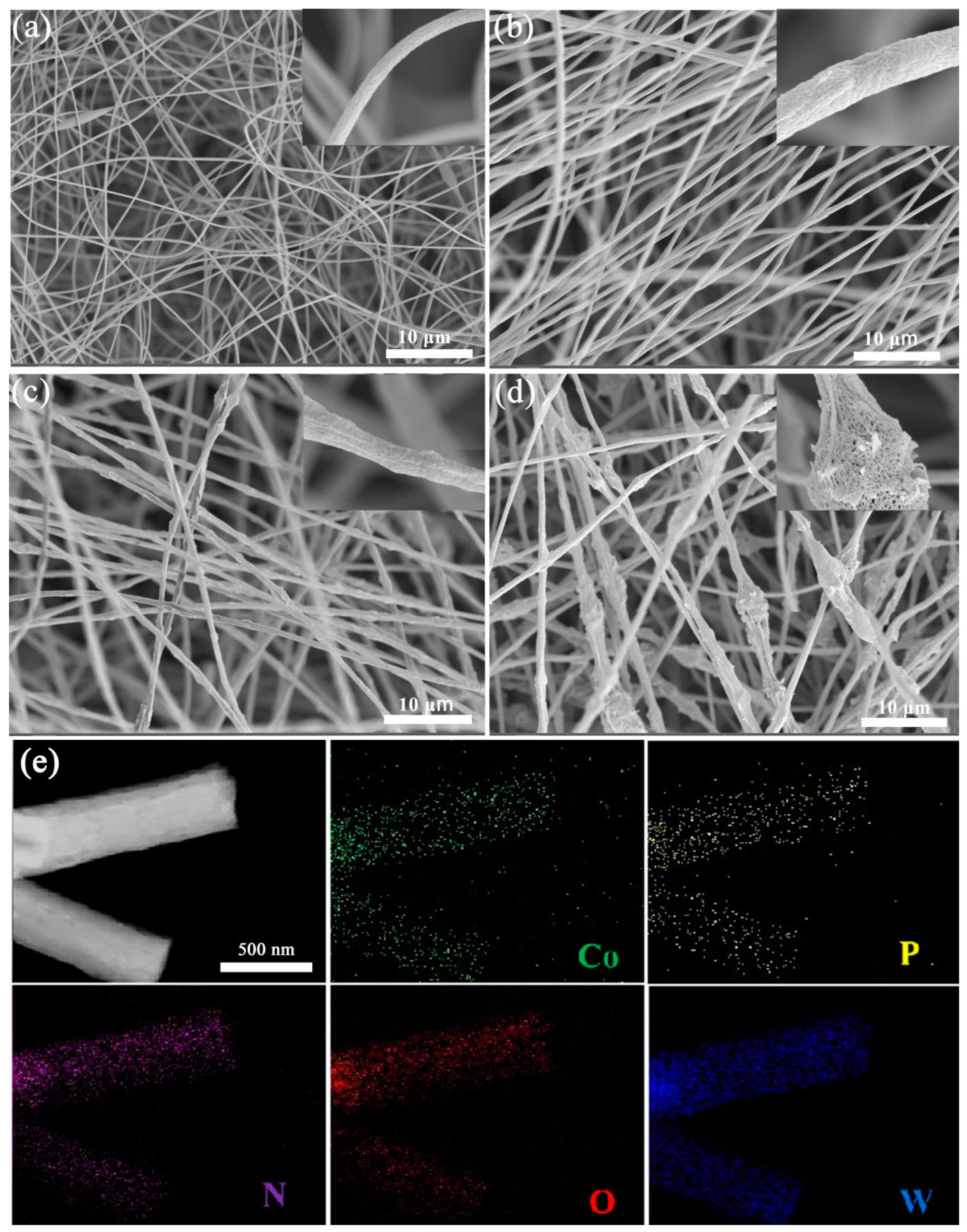 Molecules 29 01493 g003