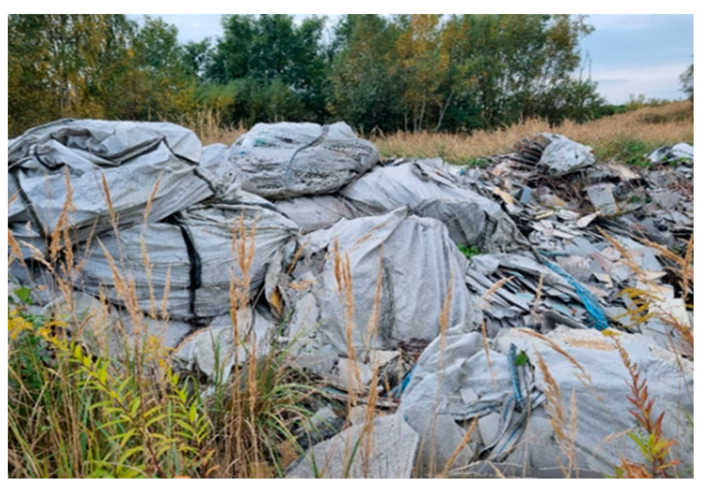 Molecules 29 01496 i004