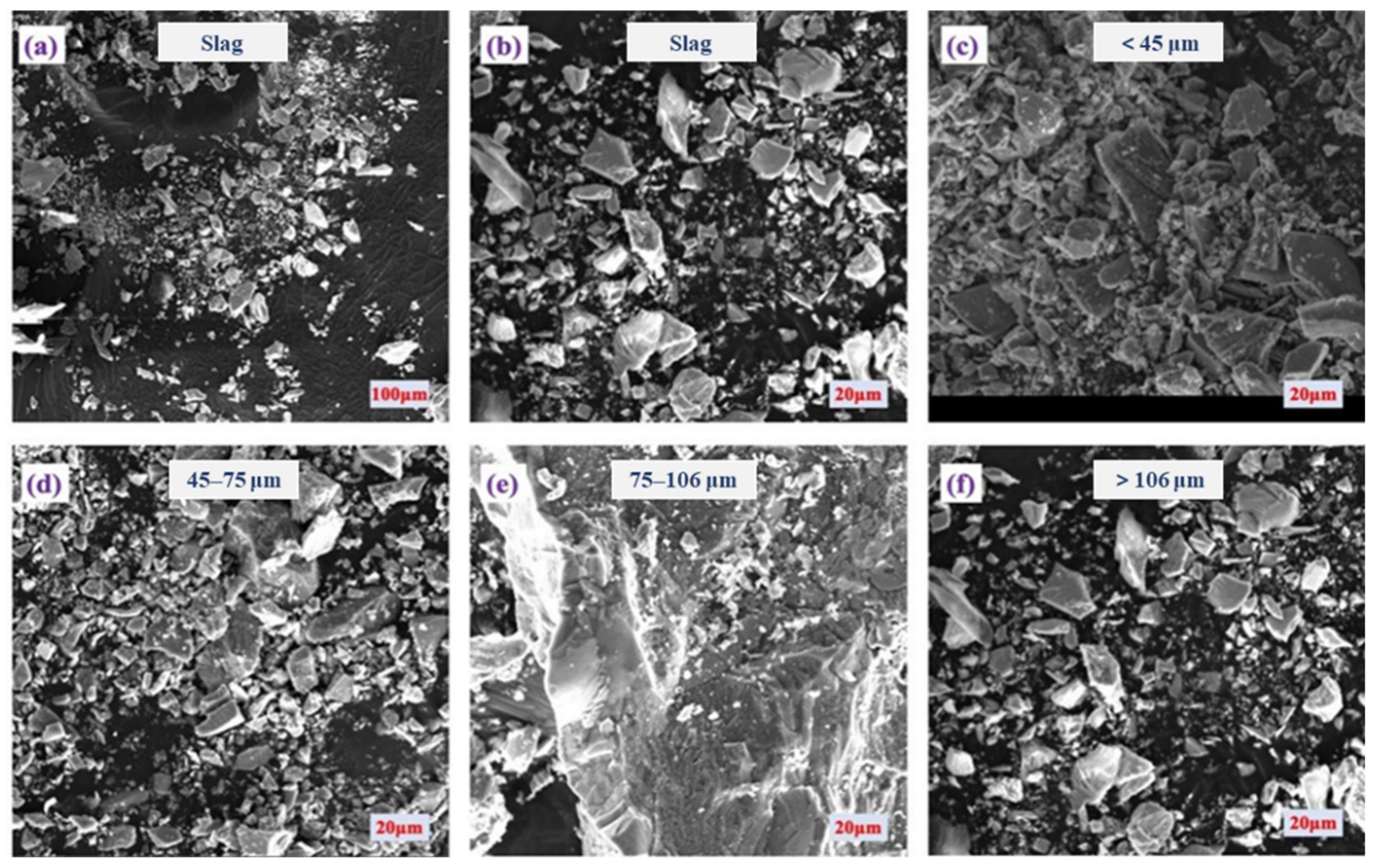 Molecules 29 01502 g001