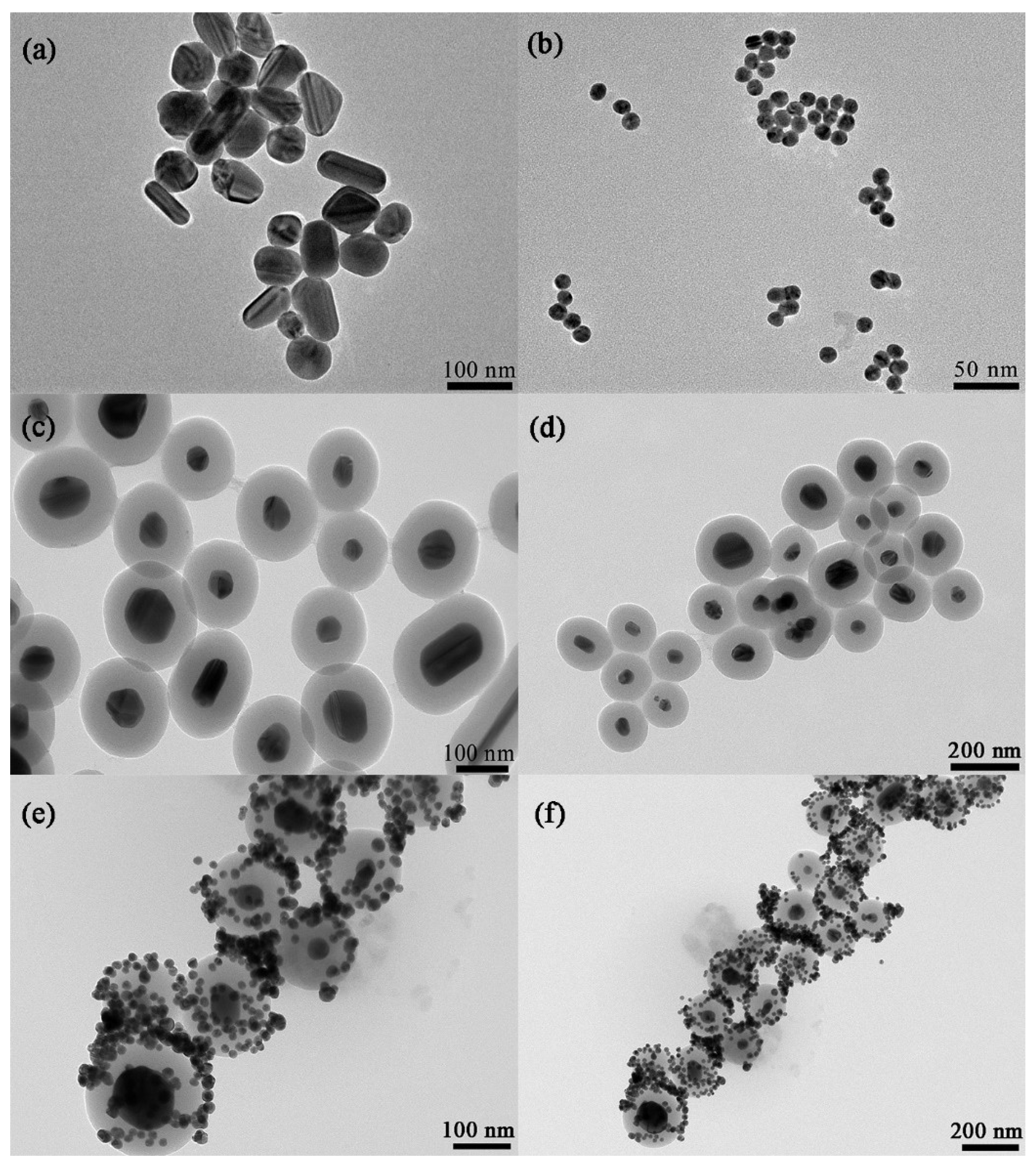 Molecules 29 01503 g002