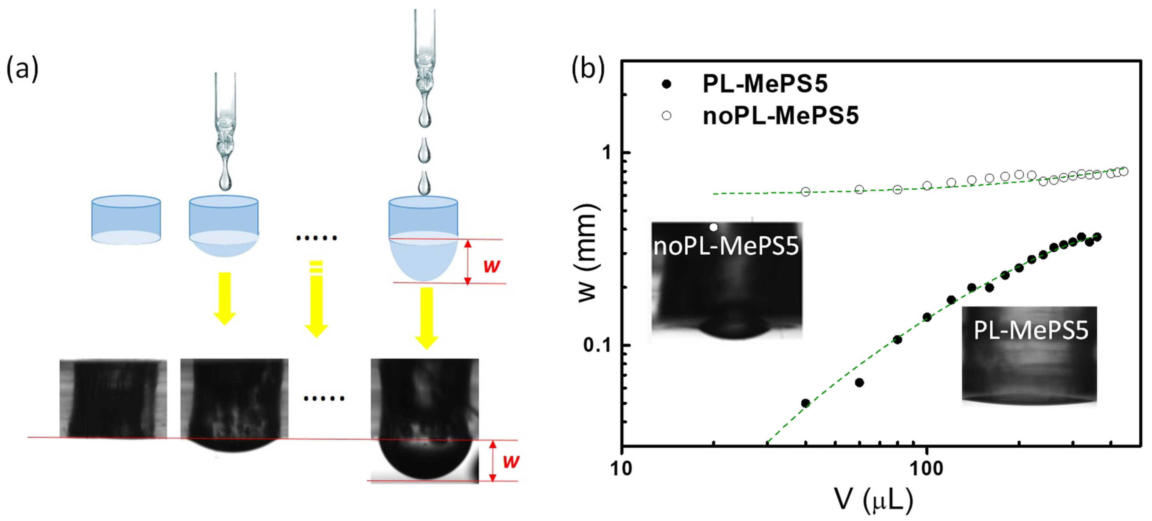 Molecules 29 01506 g001