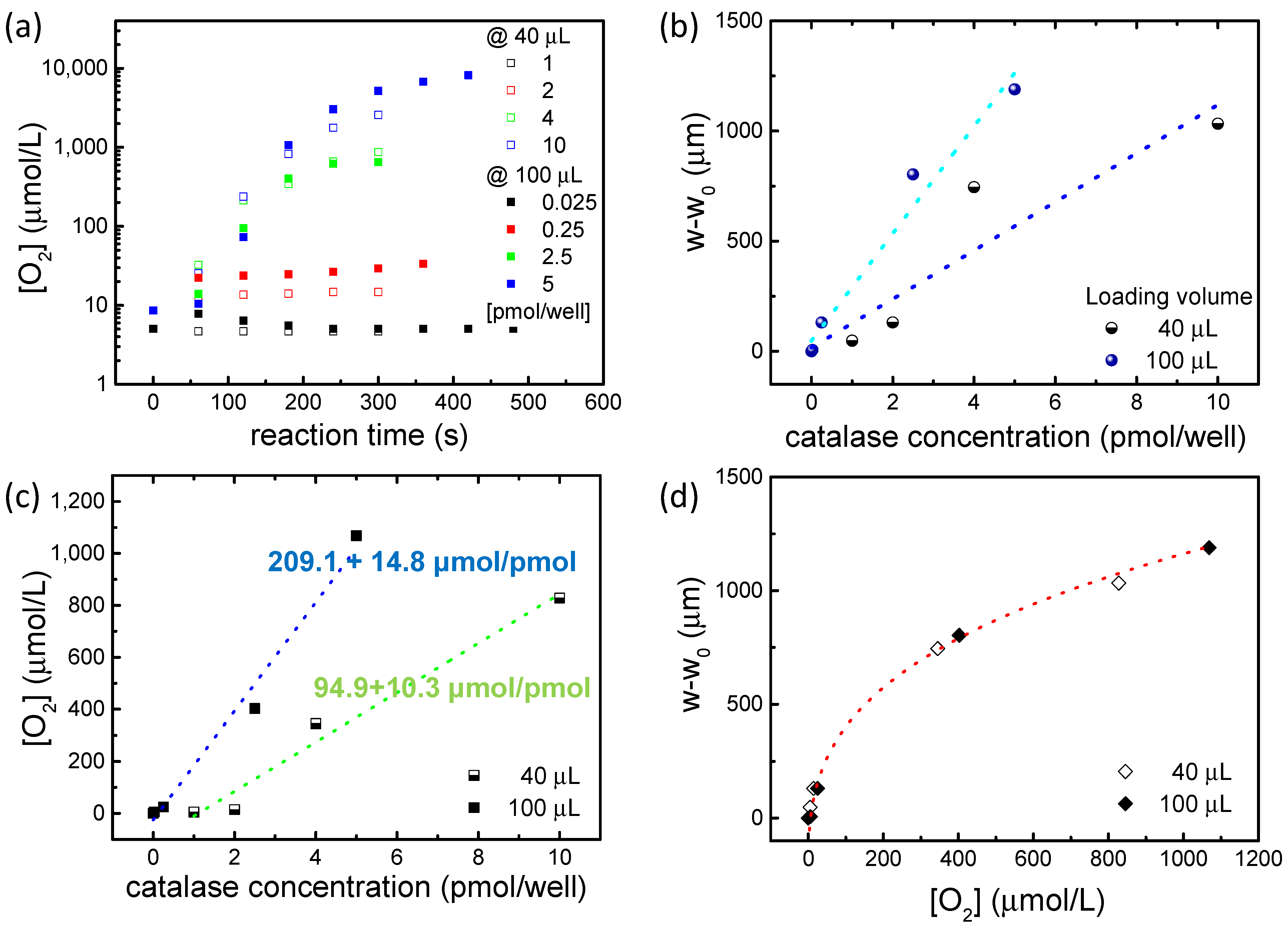 Molecules 29 01506 g006