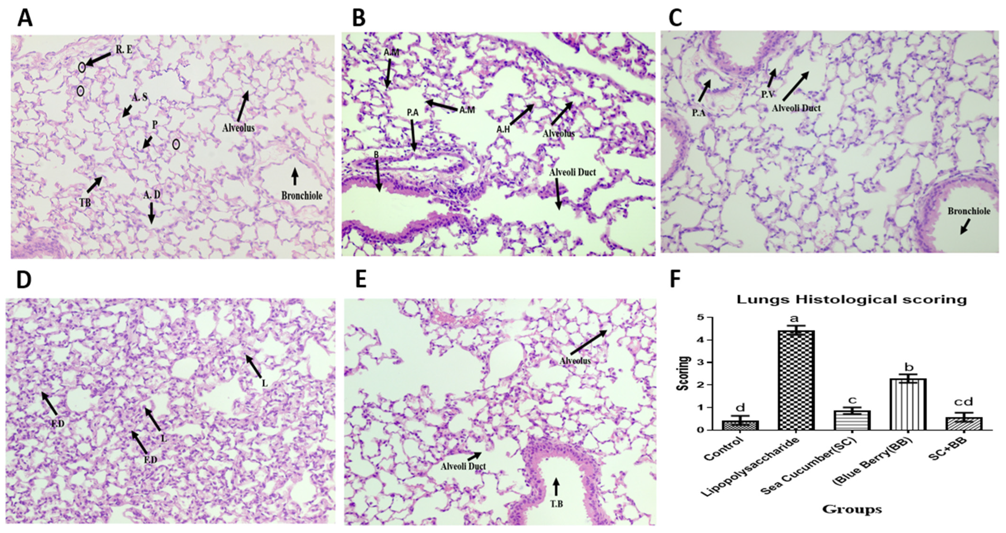 Molecules 29 01511 g002