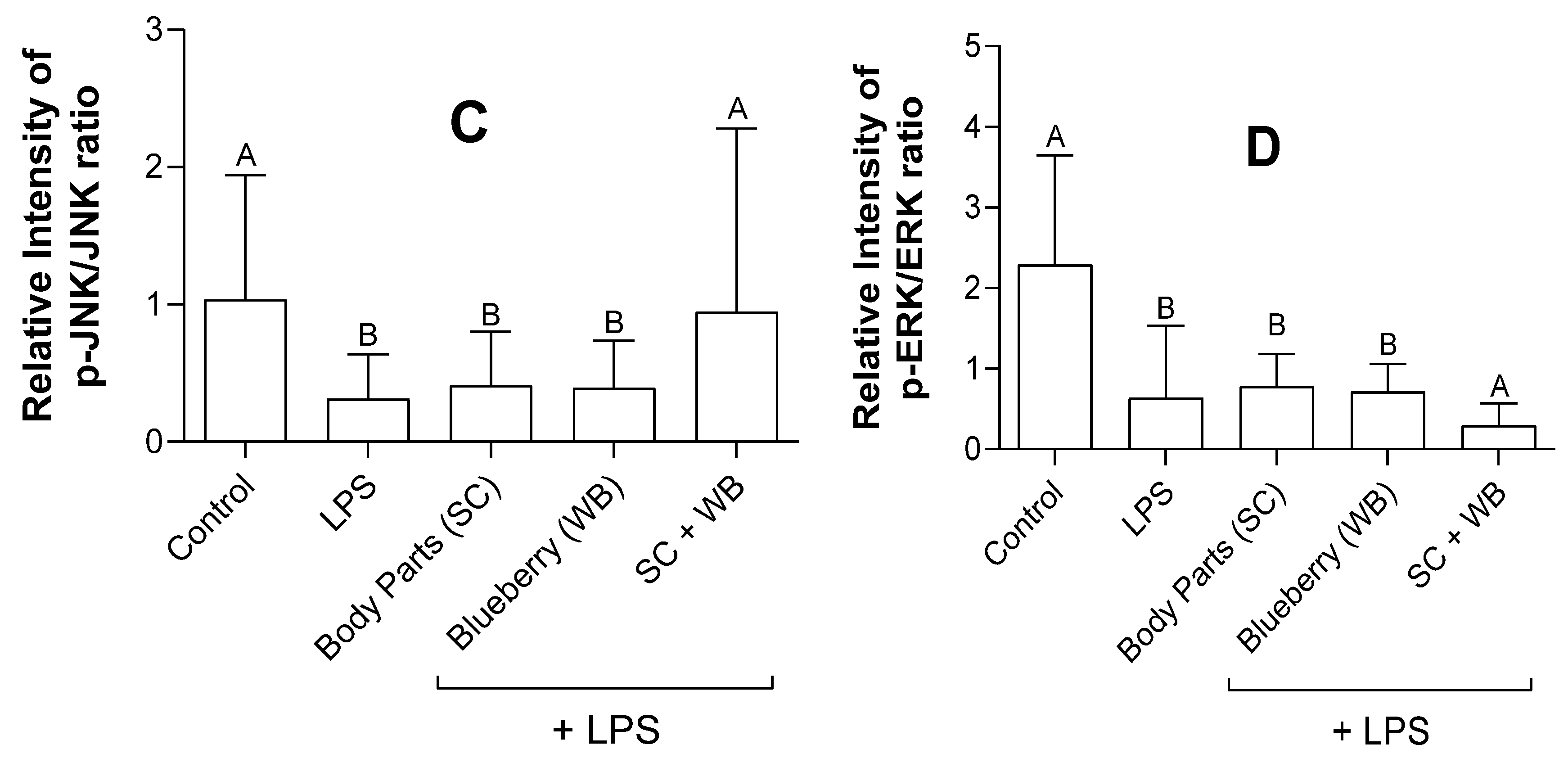 Molecules 29 01511 g005b