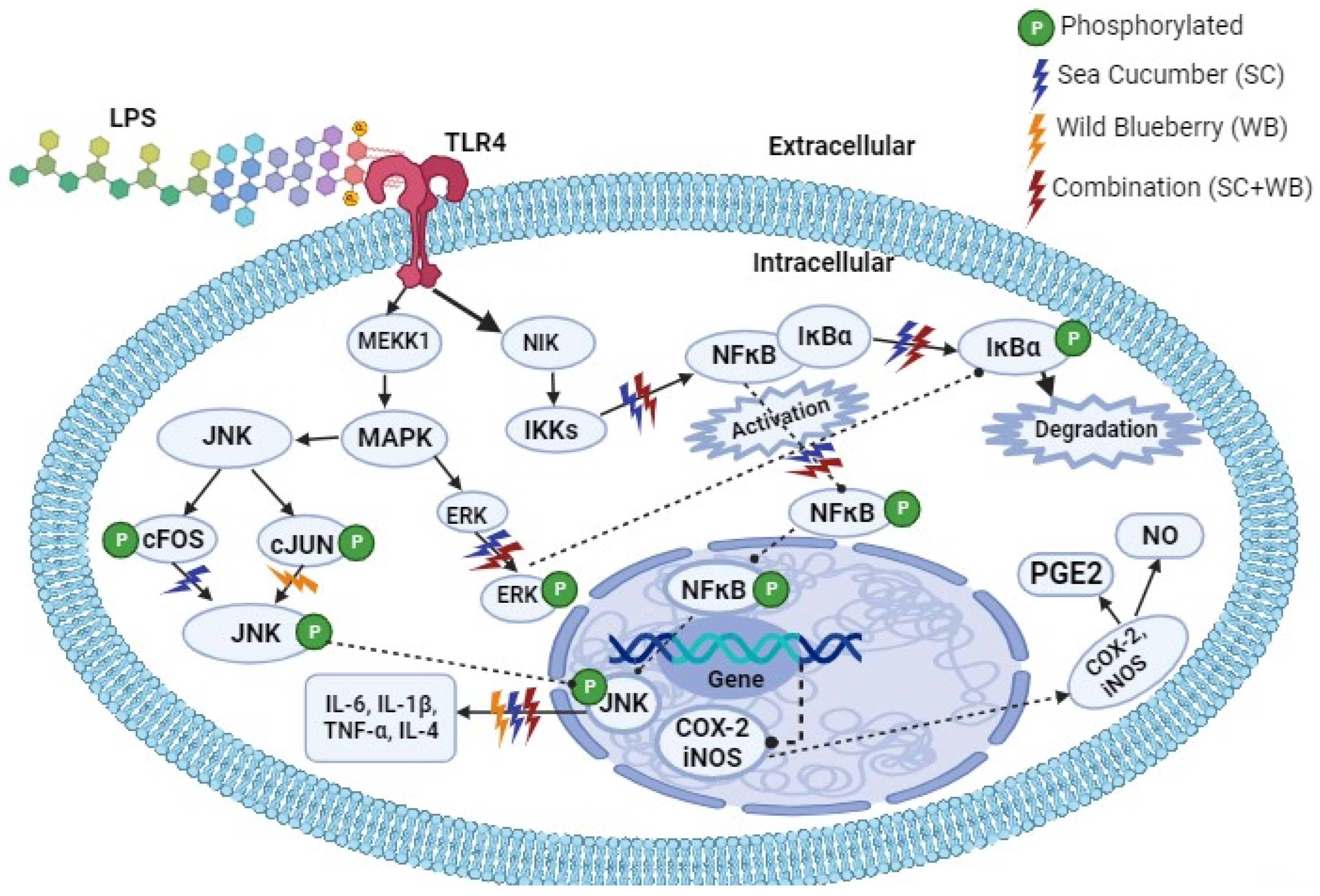 Molecules 29 01511 g006