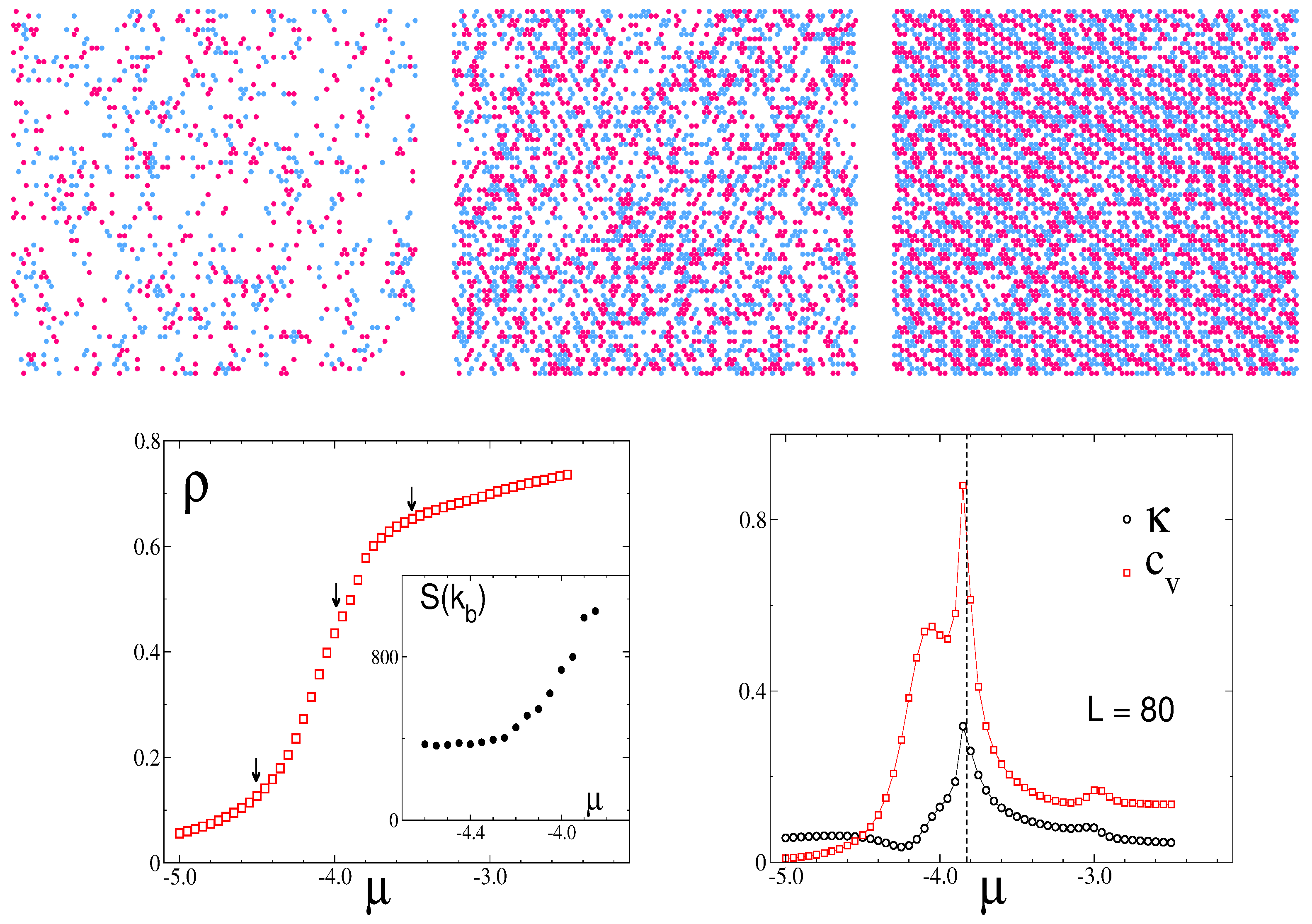 Molecules 29 01512 g011