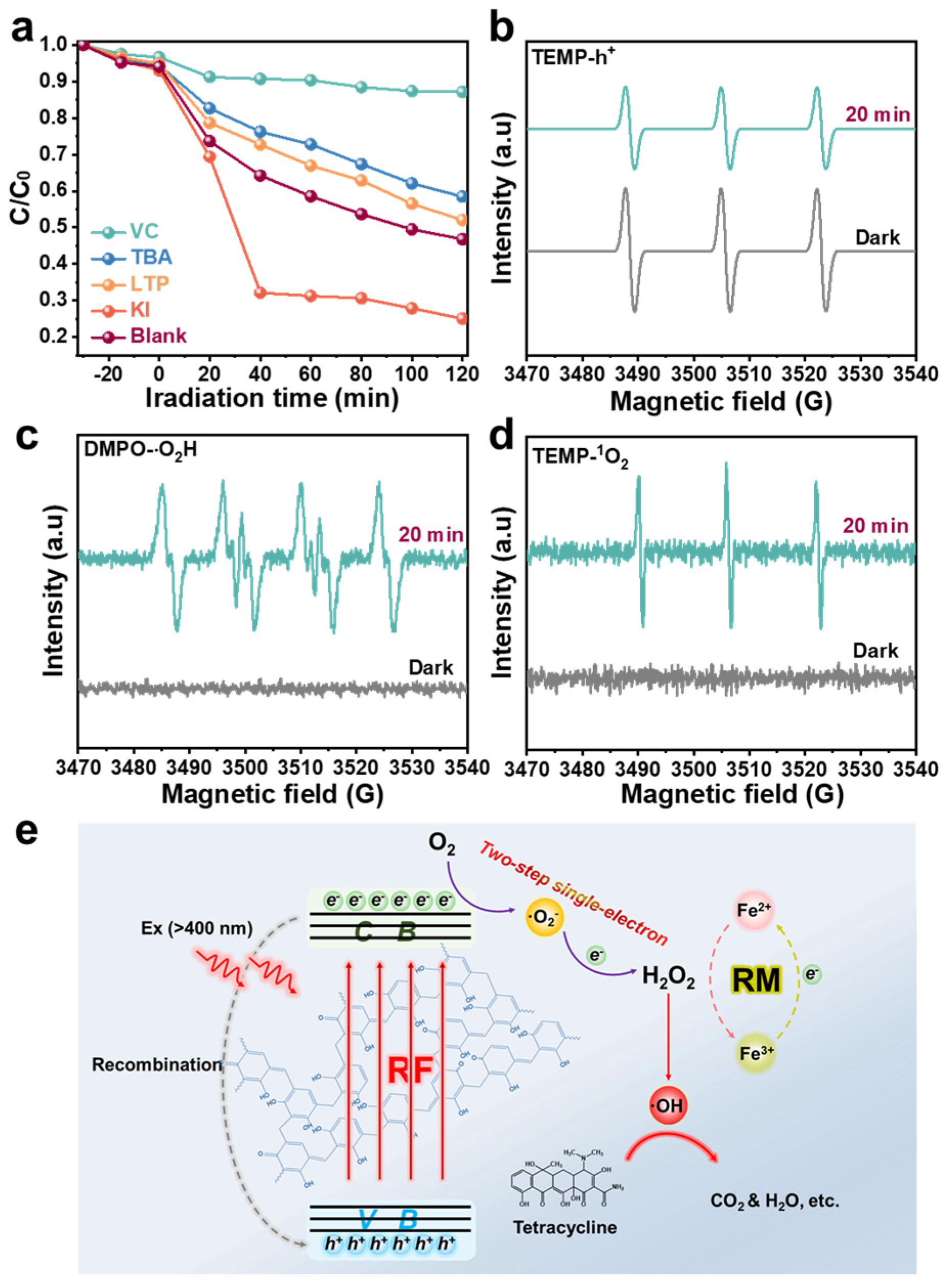 Molecules 29 01514 g004