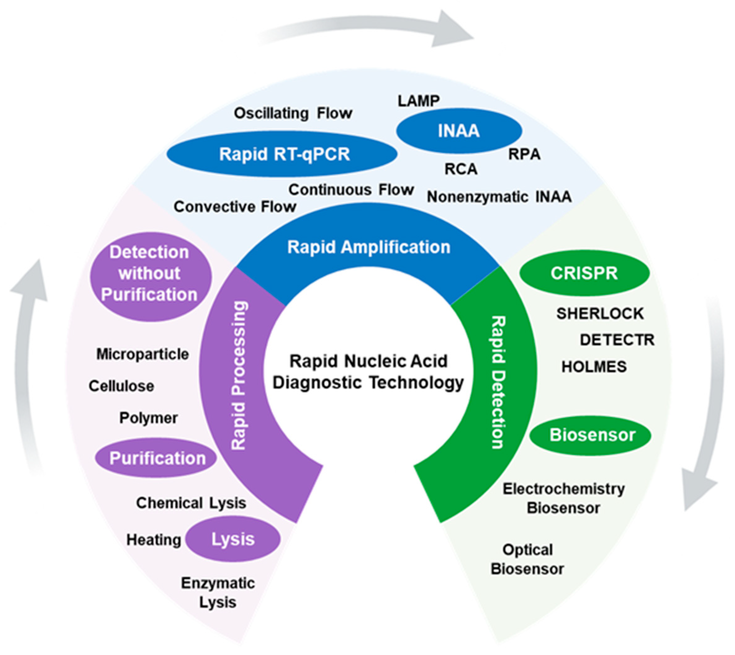 Molecules 29 01527 g001