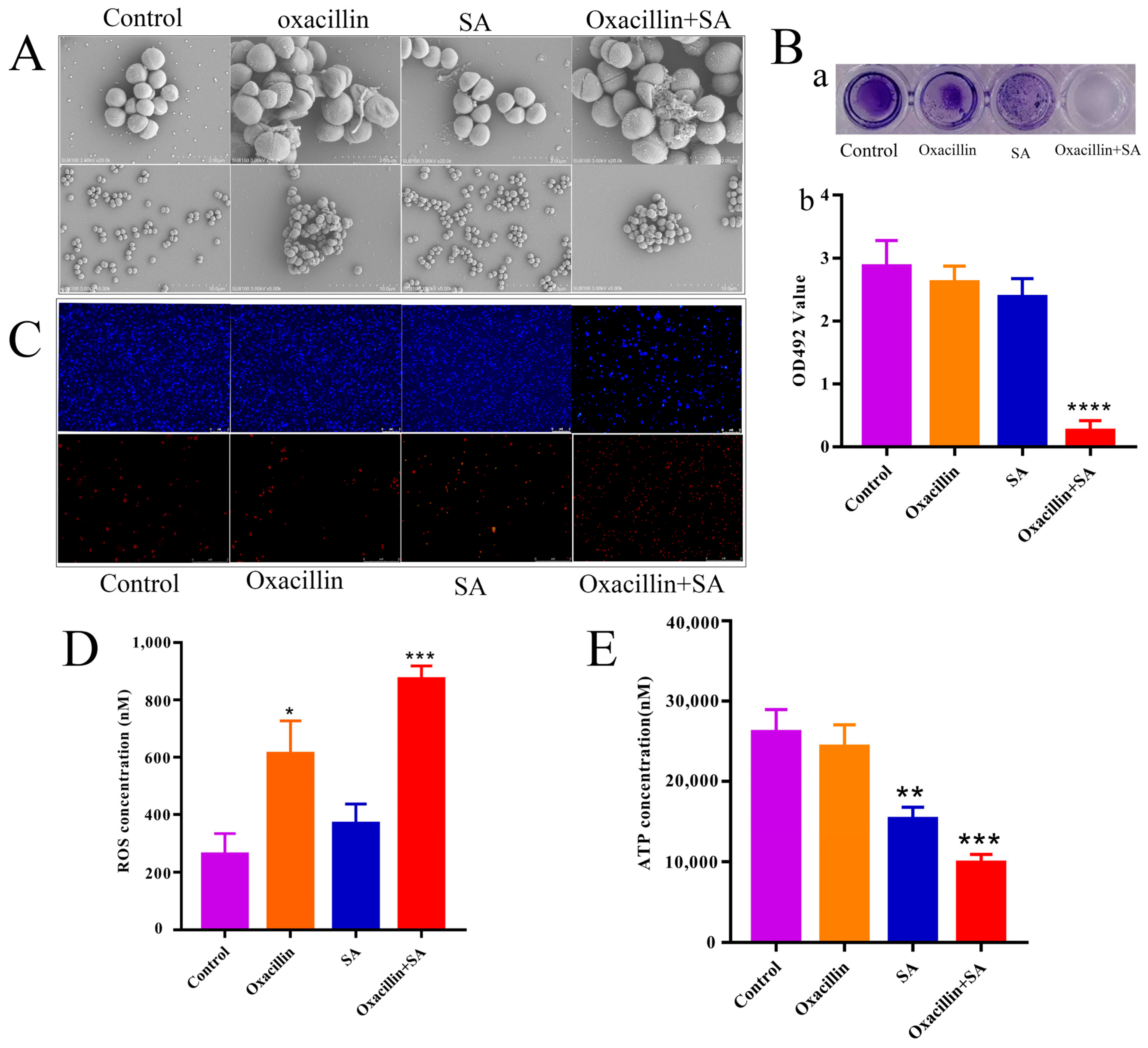 Molecules 29 01528 g002