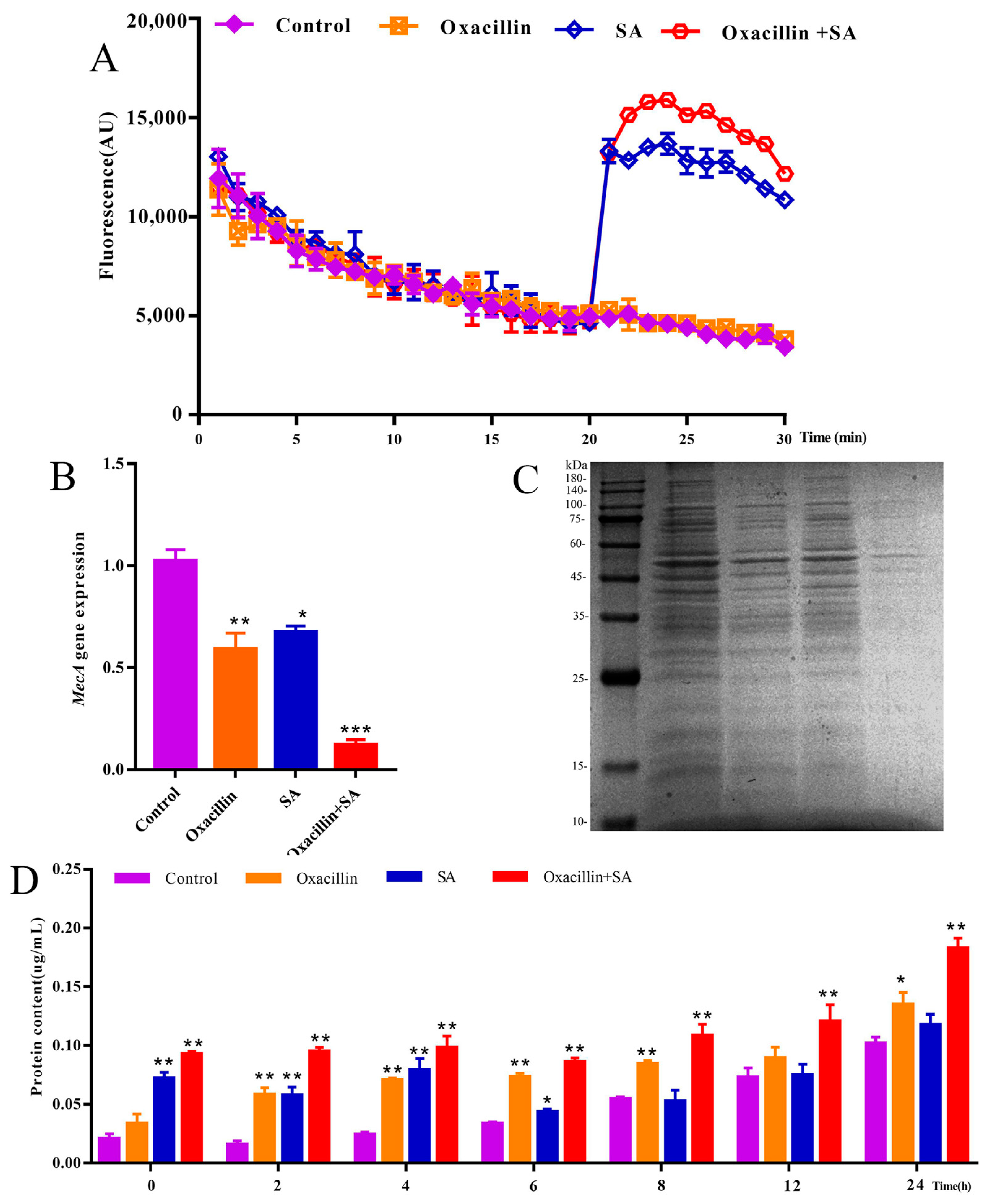 Molecules 29 01528 g003
