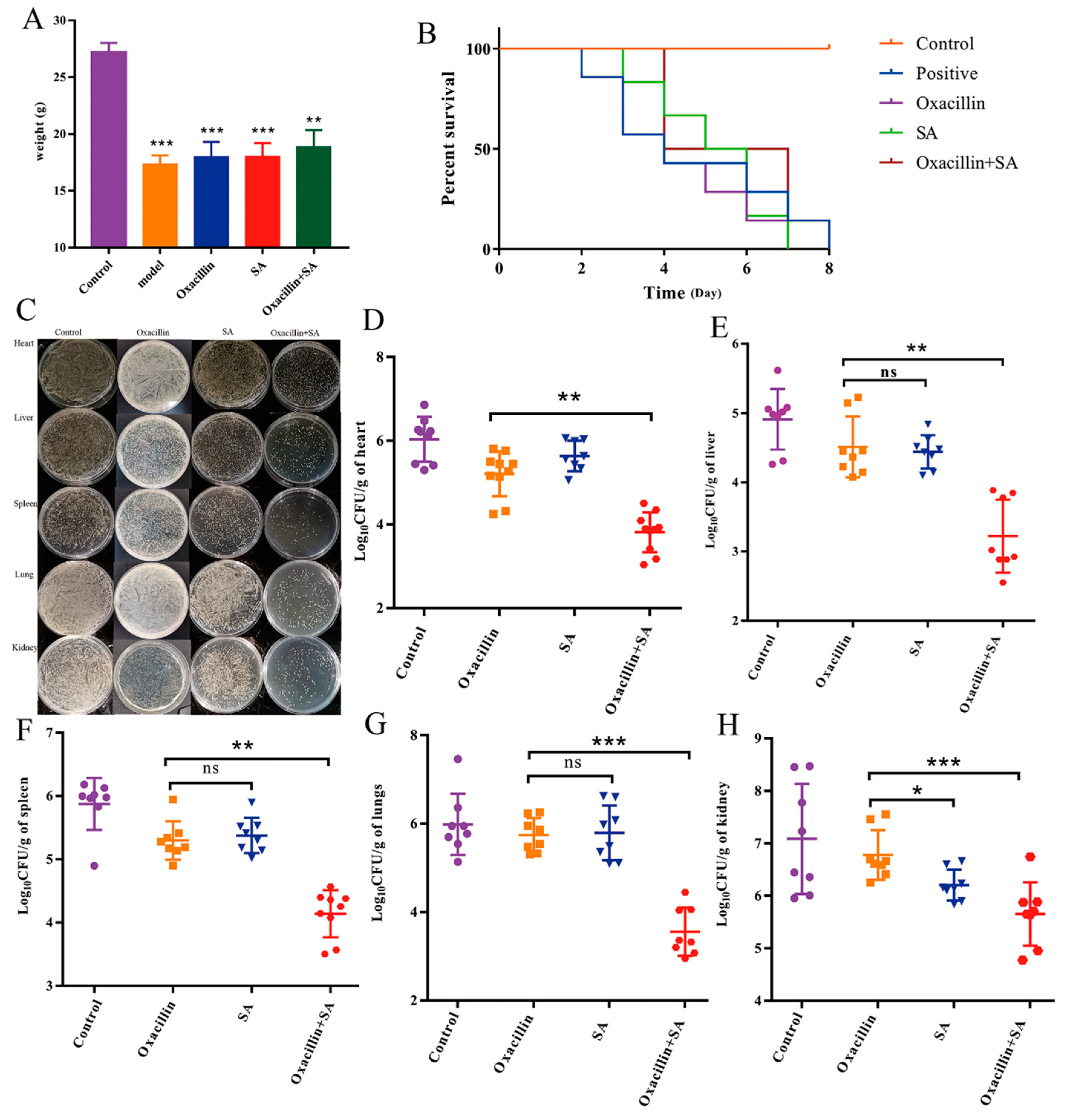 Molecules 29 01528 g004