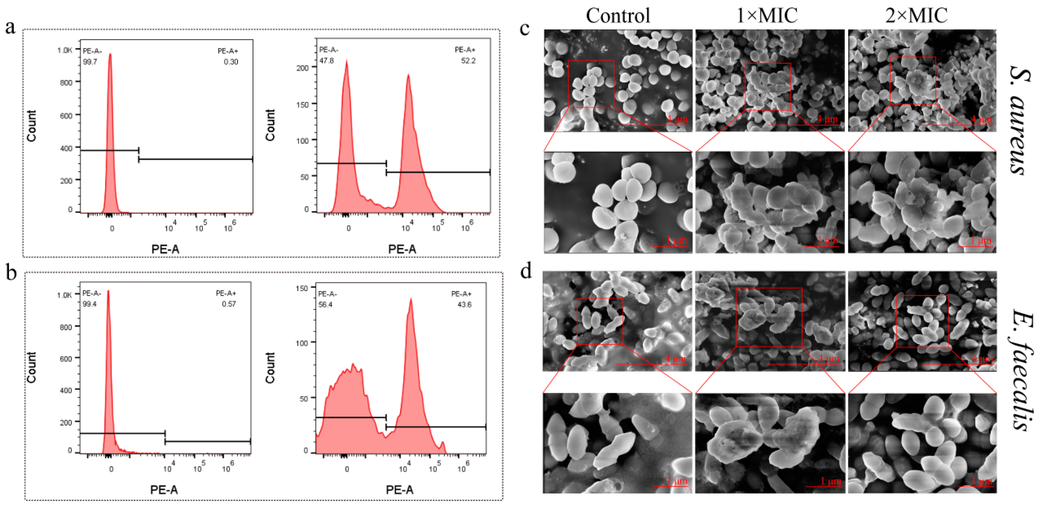 Molecules 29 01534 g007 Molecules 29 01534 g007