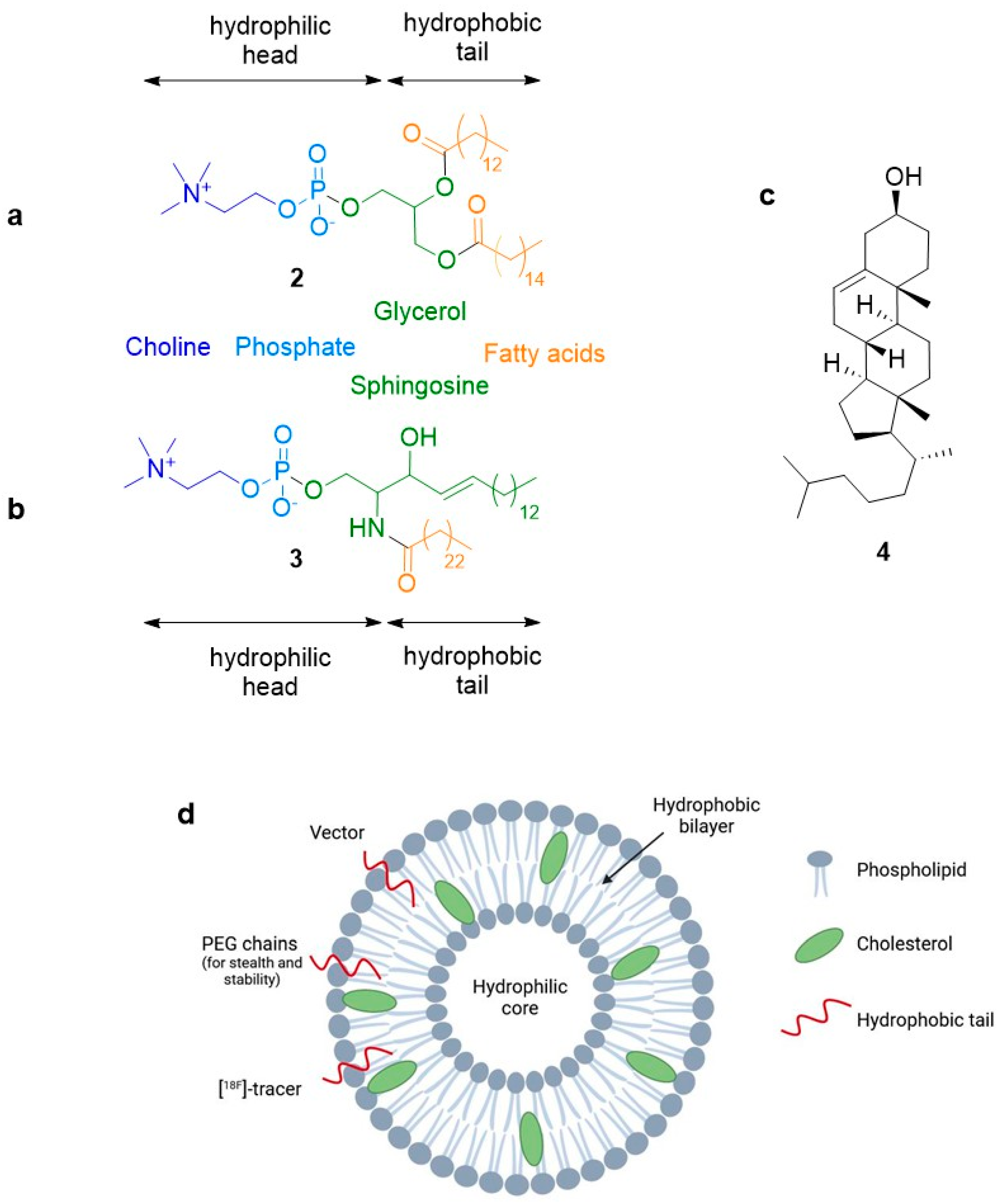 Molecules 29 01537 g003