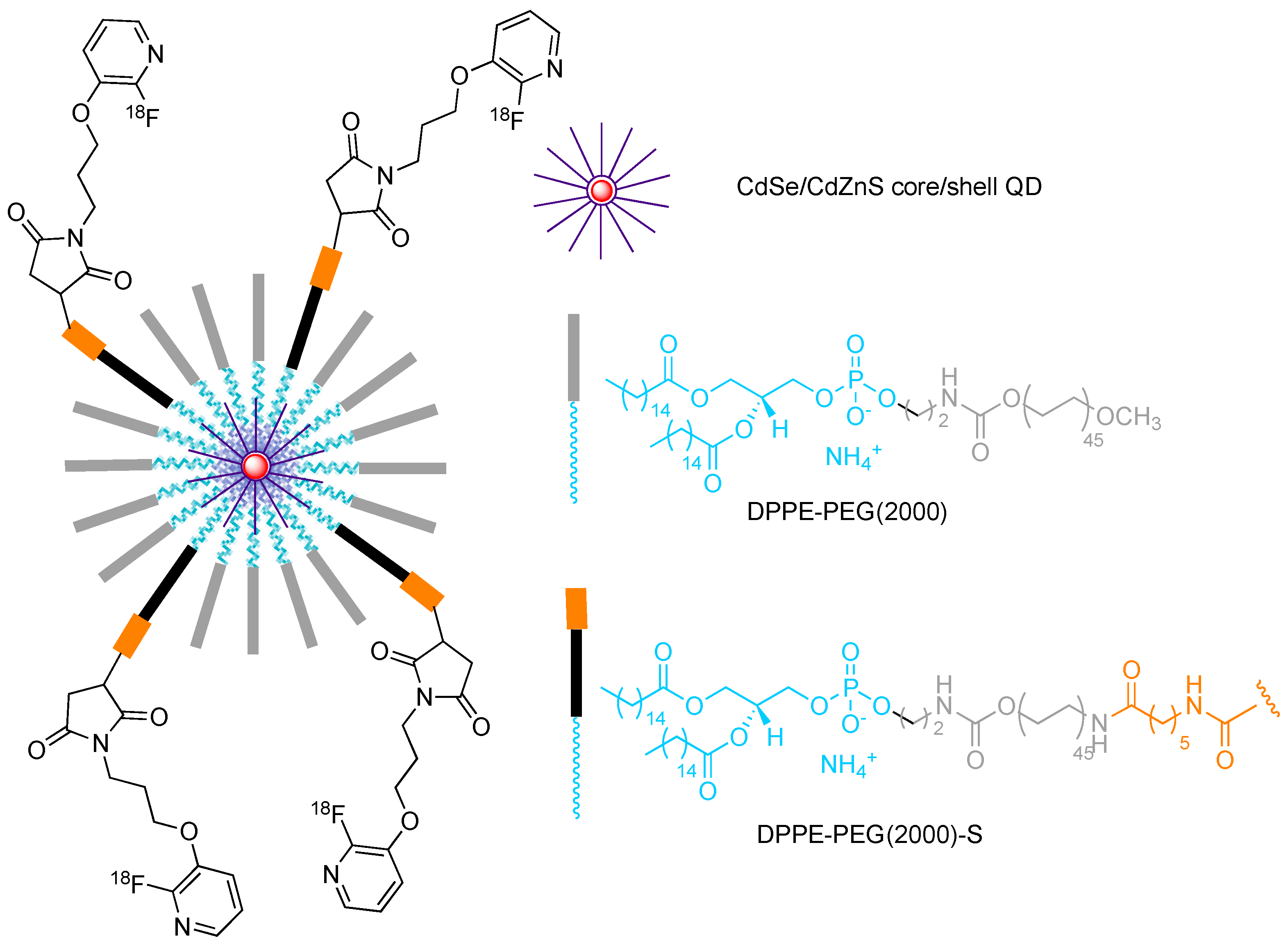 Molecules 29 01537 g011