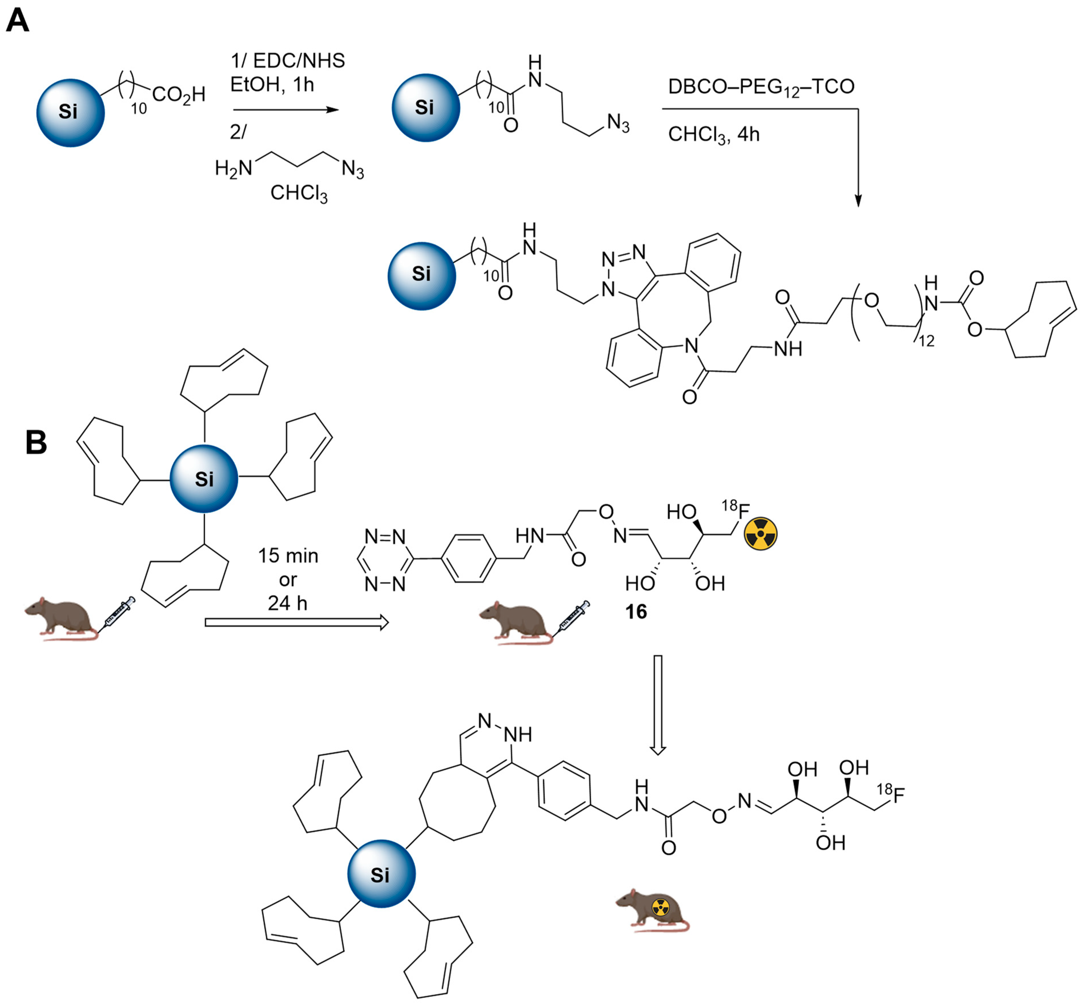 Molecules 29 01537 g015
