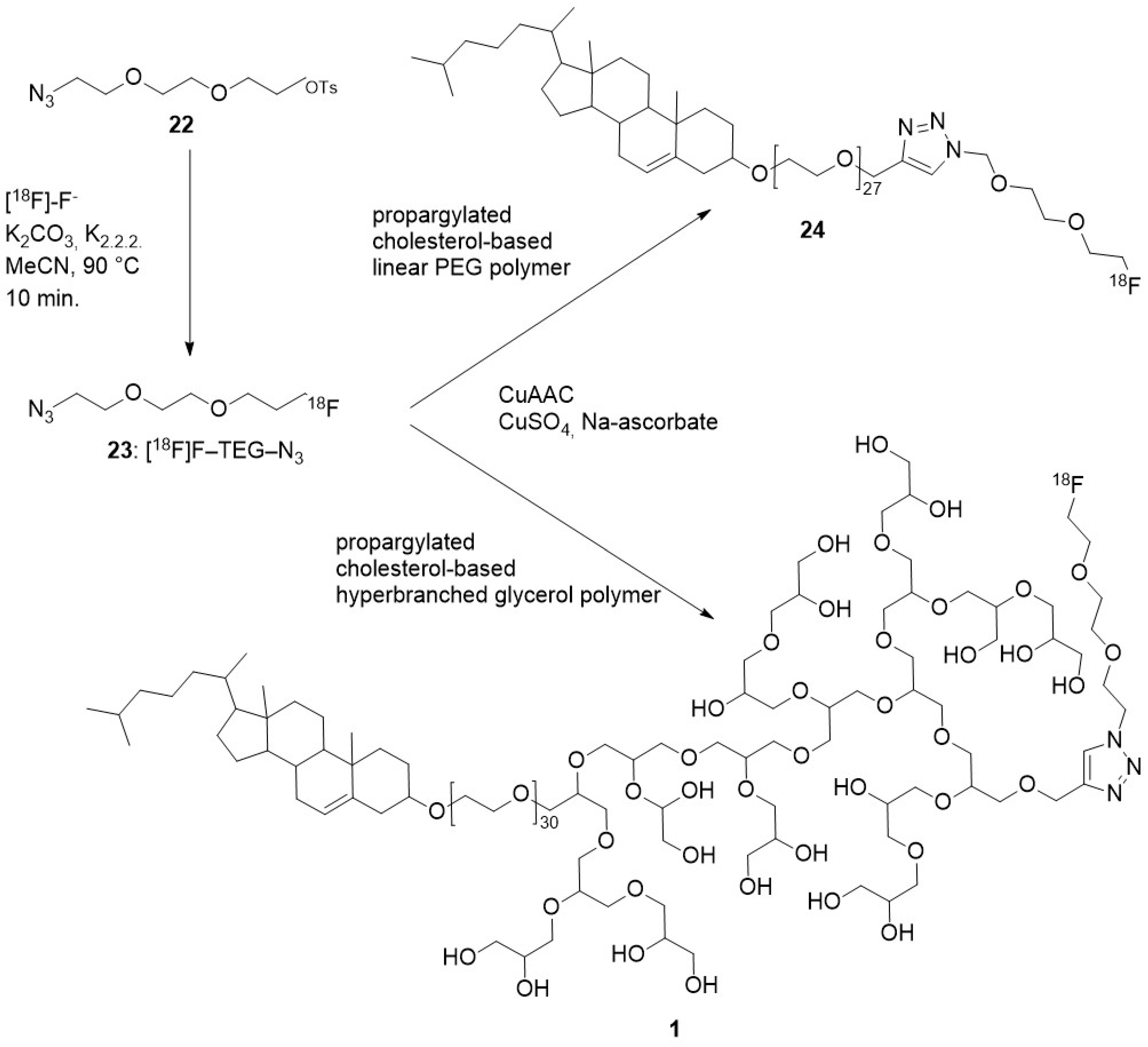 Molecules 29 01537 g020