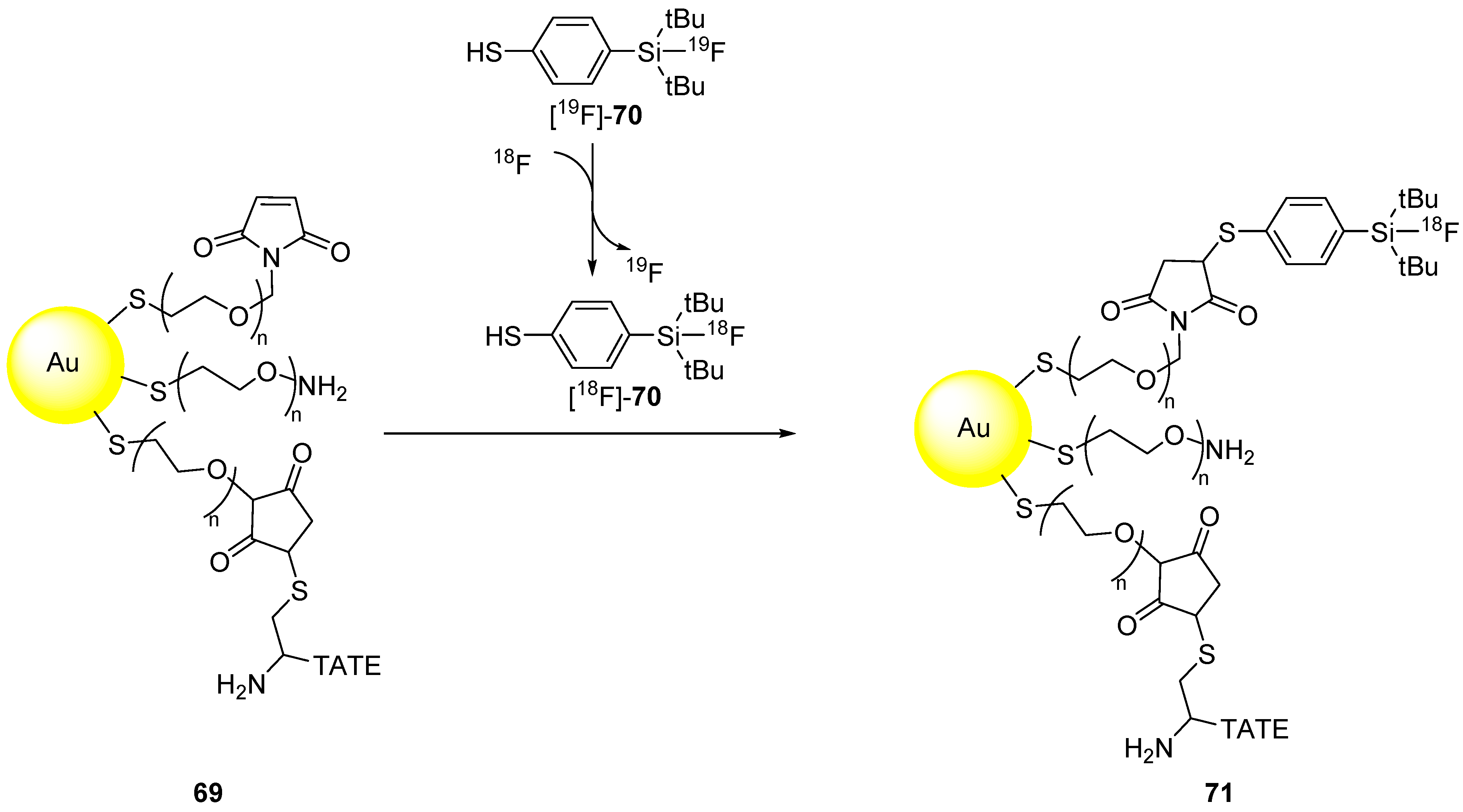 Molecules 29 01537 g039
