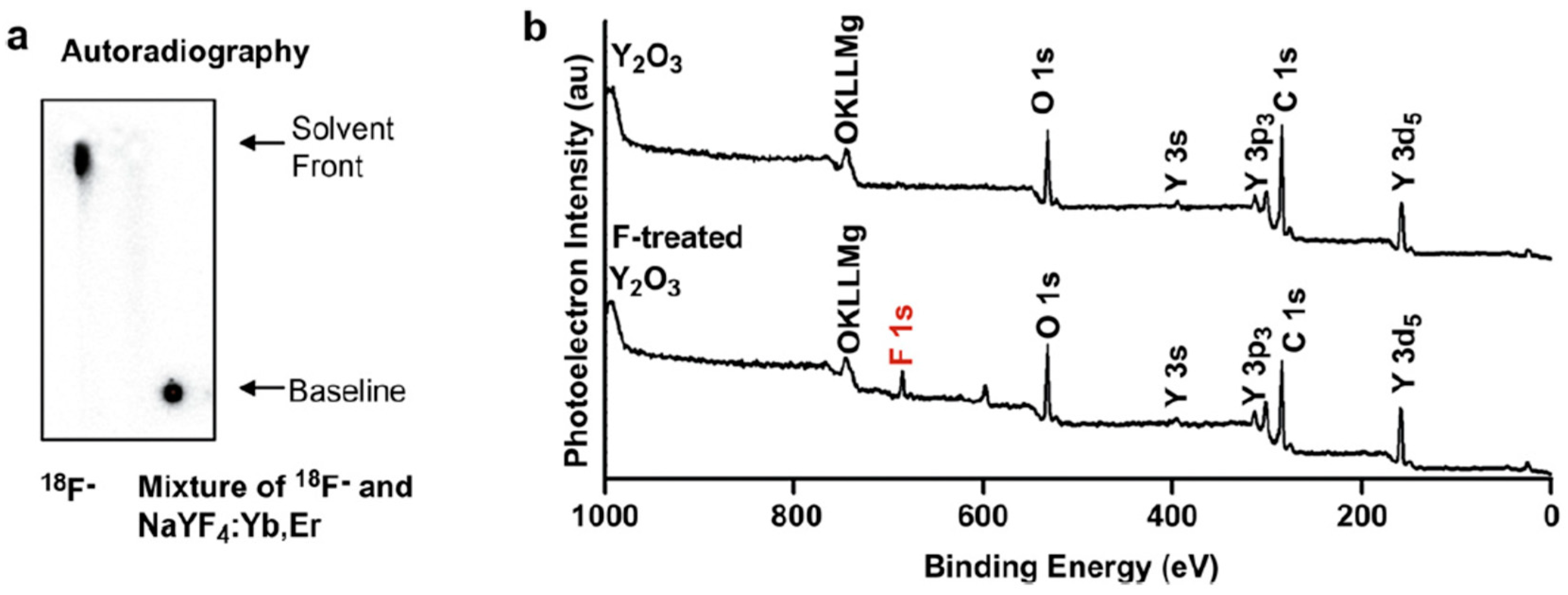 Molecules 29 01537 g043