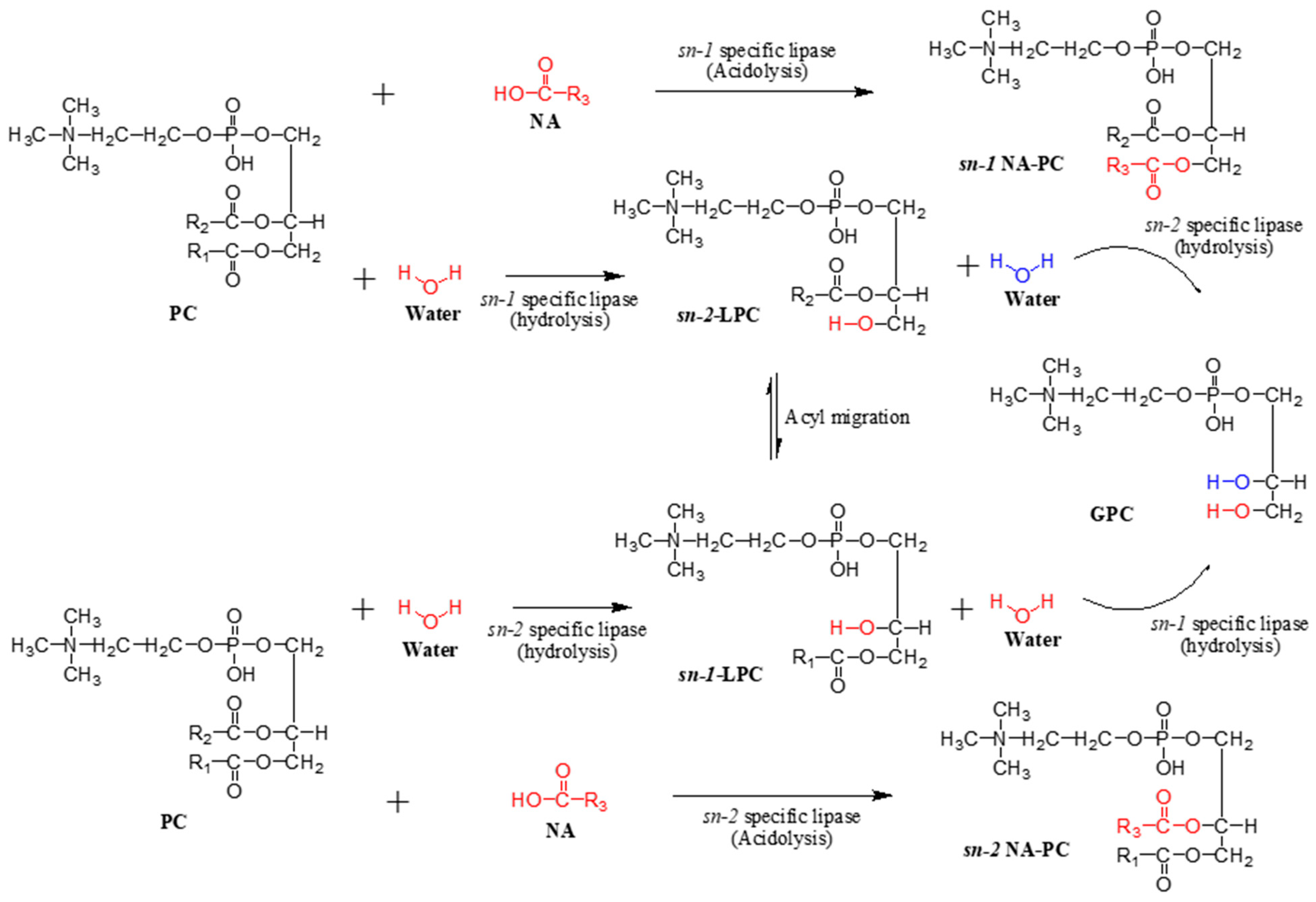 Molecules 29 01539 g005