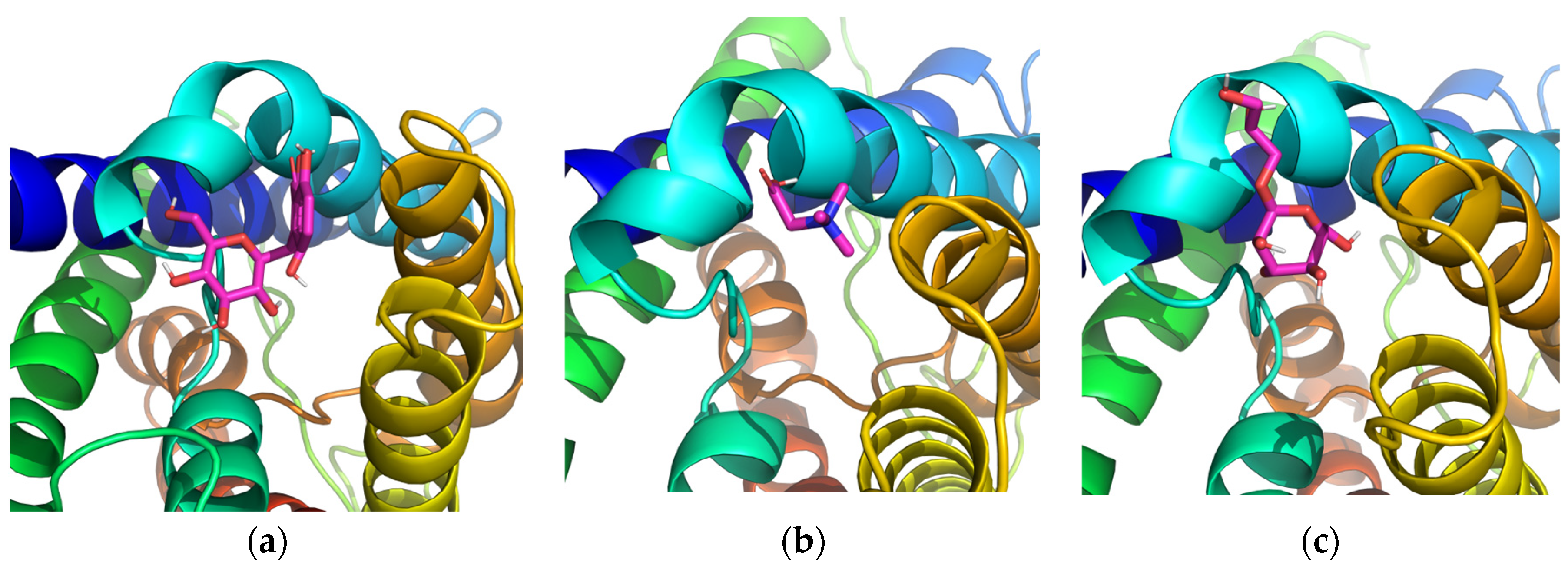 Molecules 29 01540 g001