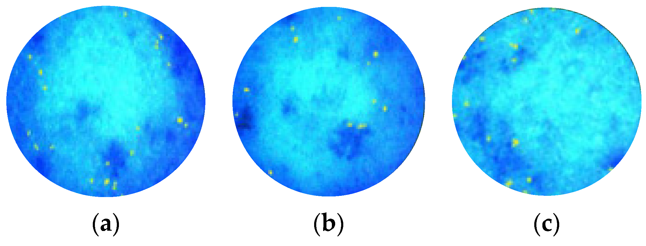Molecules 29 01540 g005