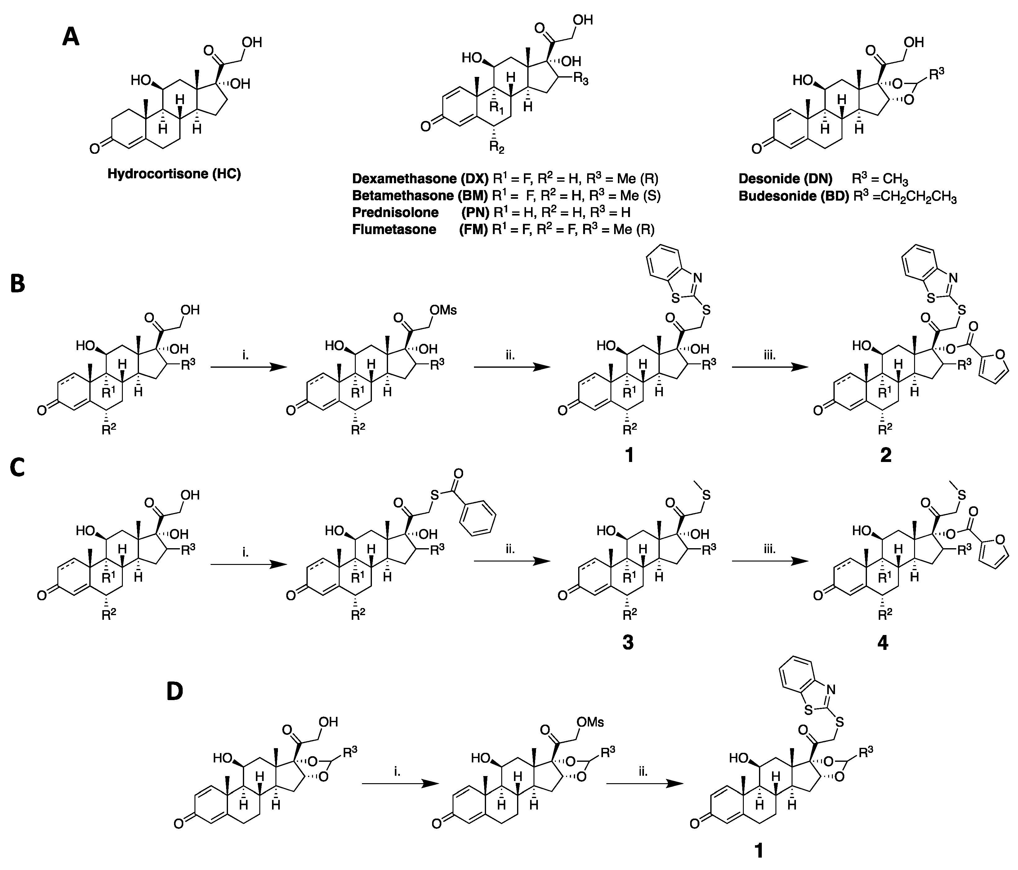 Molecules 29 01546 g001