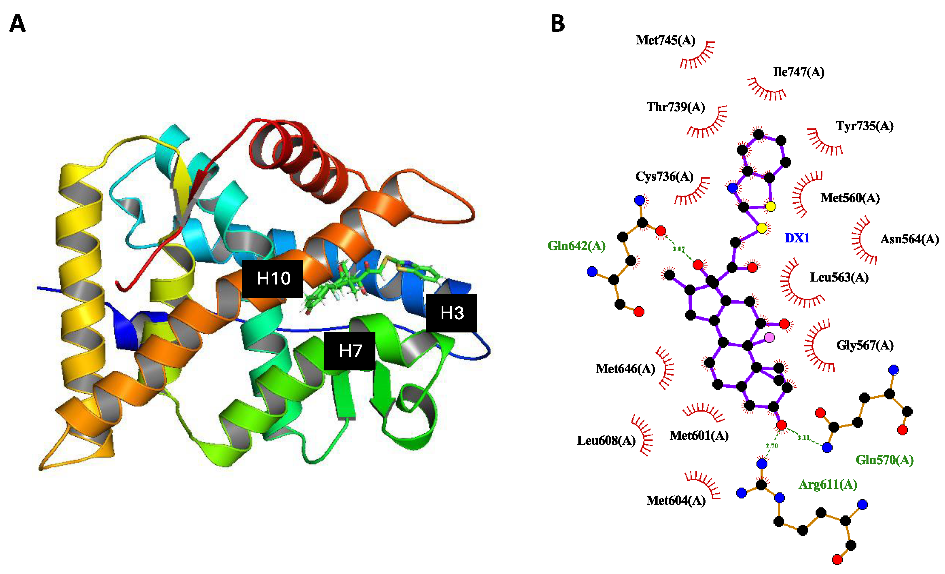 Molecules 29 01546 g007