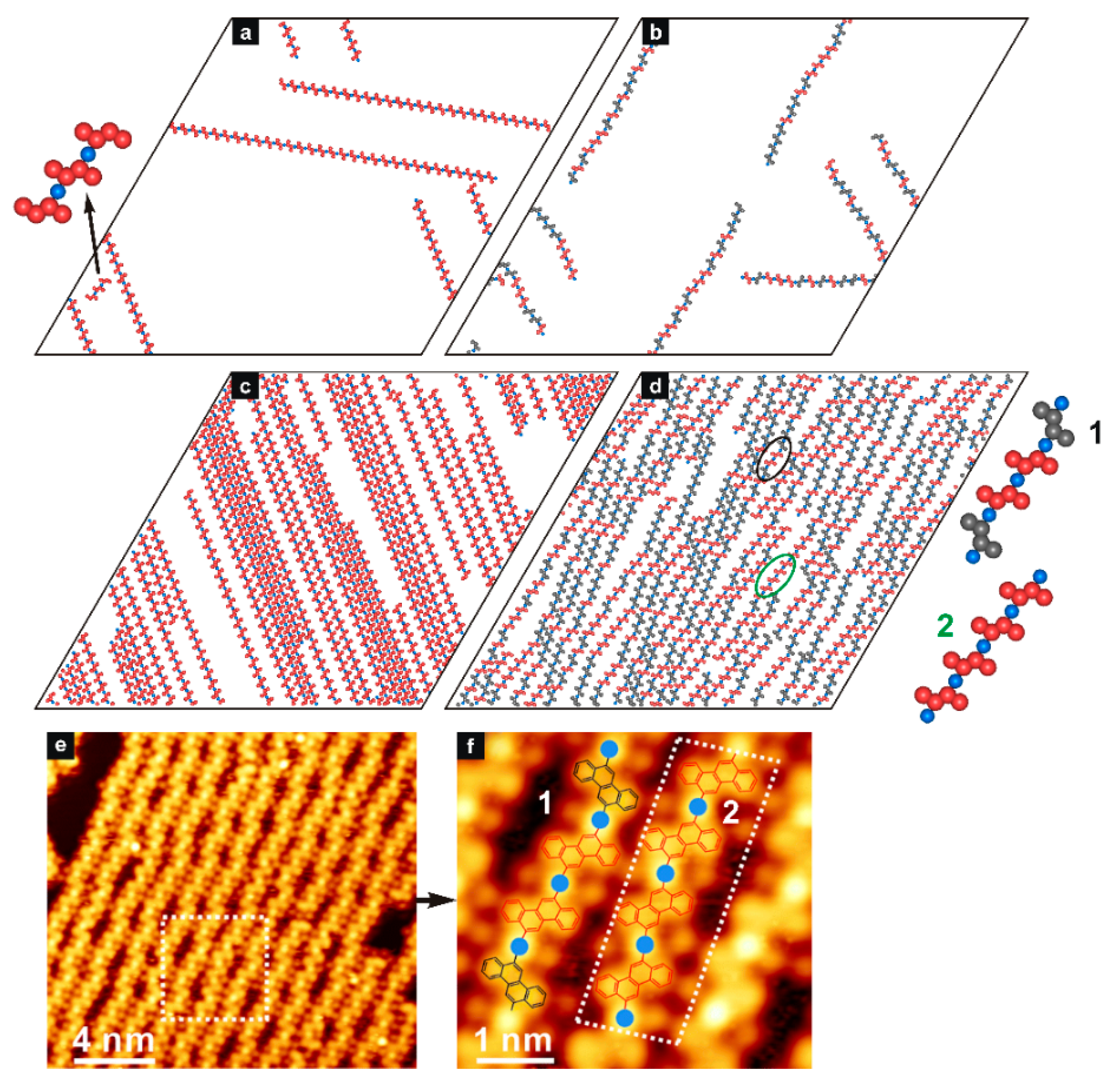 Molecules 29 01553 g001