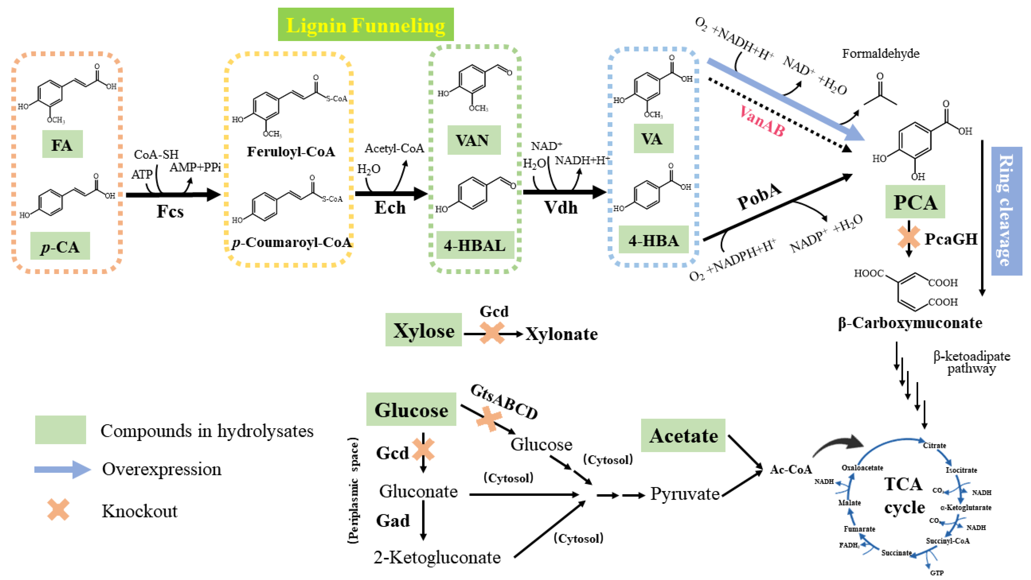 Molecules 29 01555 g003