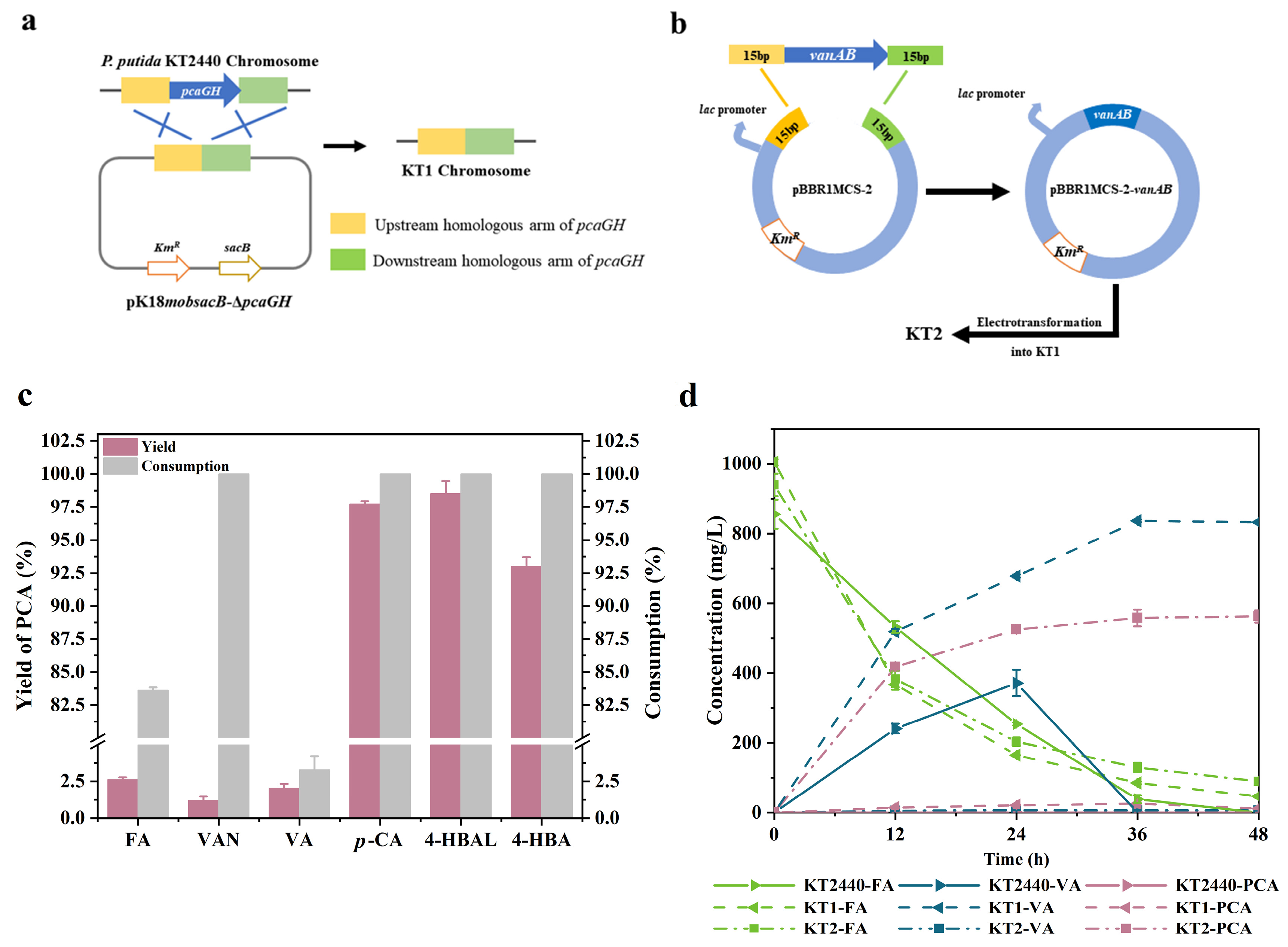 Molecules 29 01555 g004