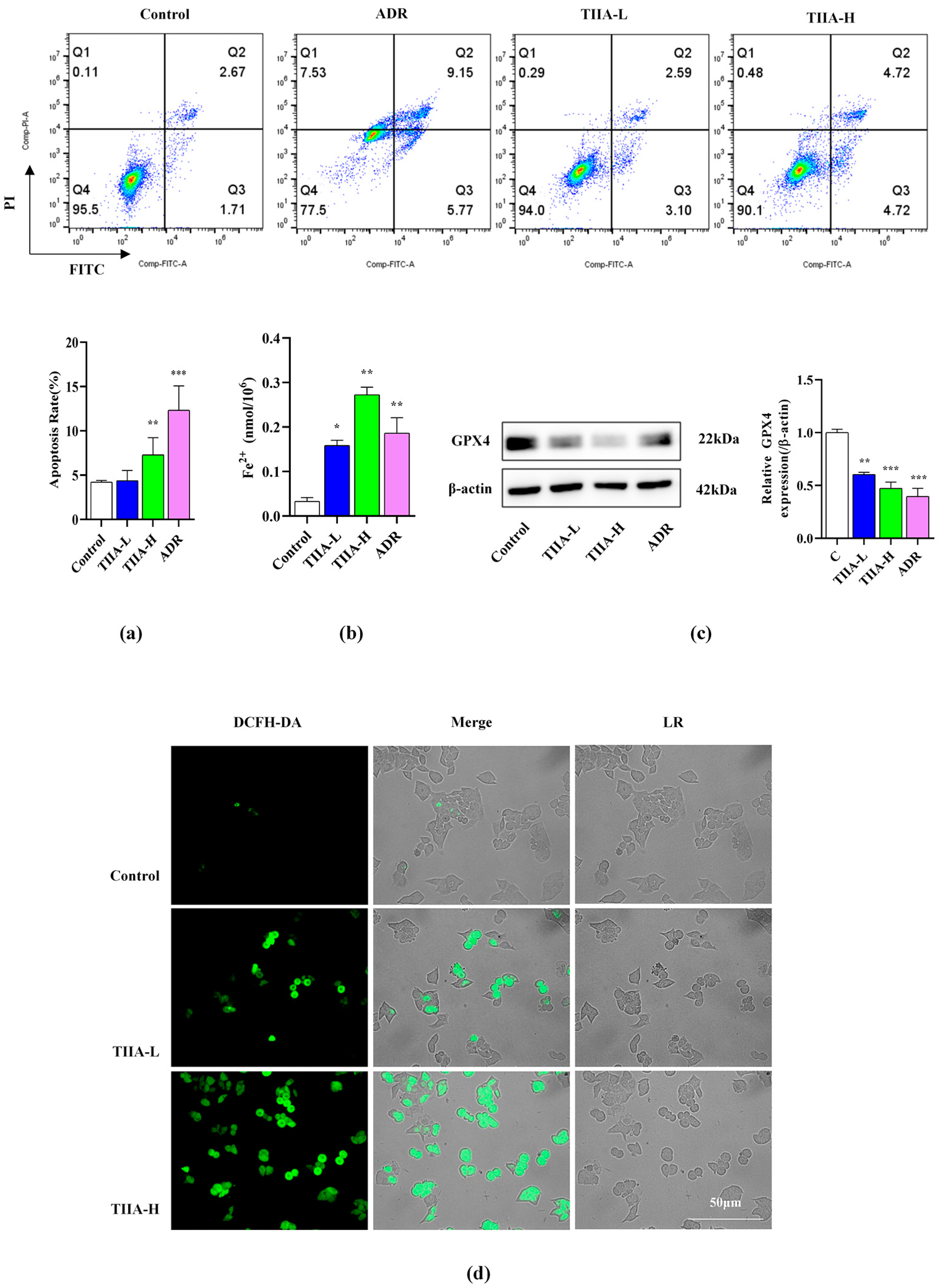 Molecules 29 01557 g003