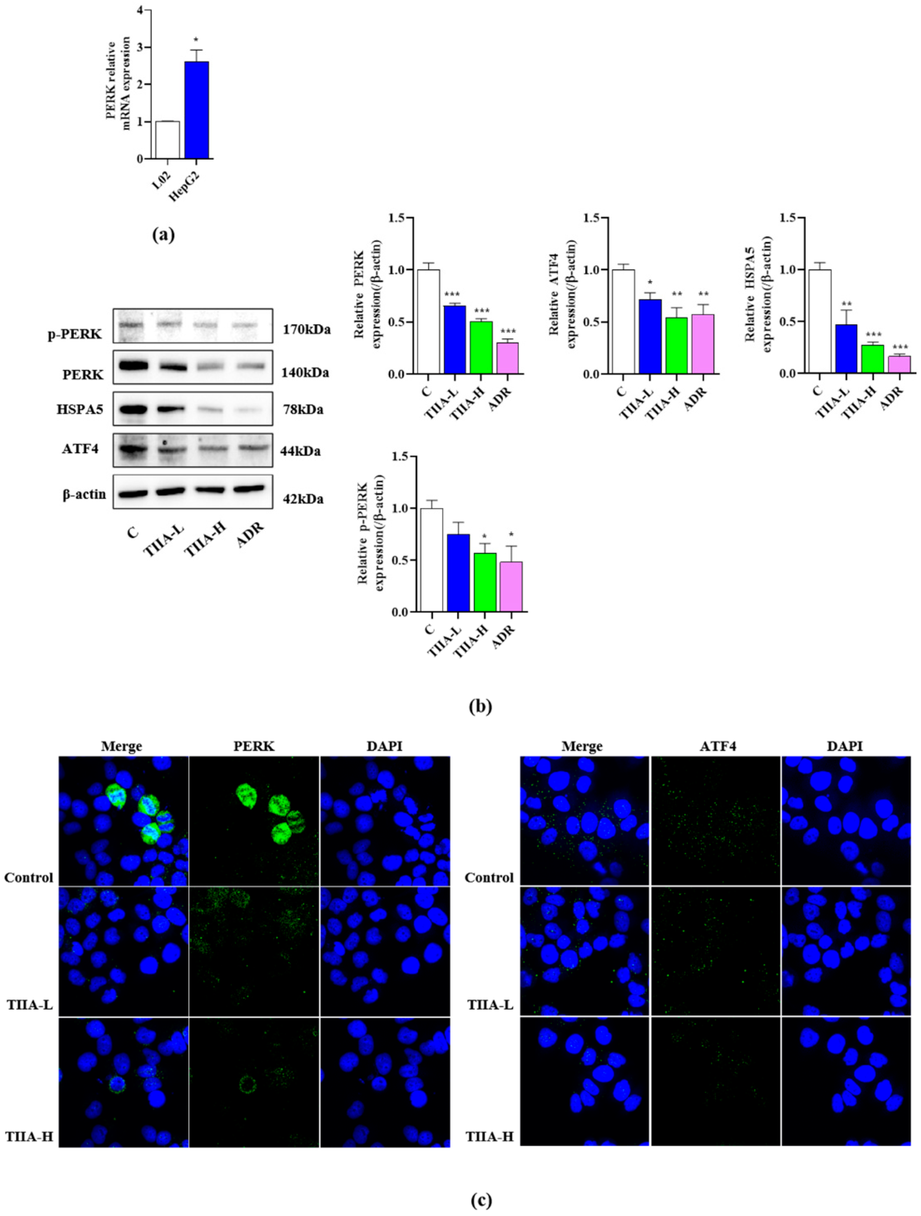 Molecules 29 01557 g004