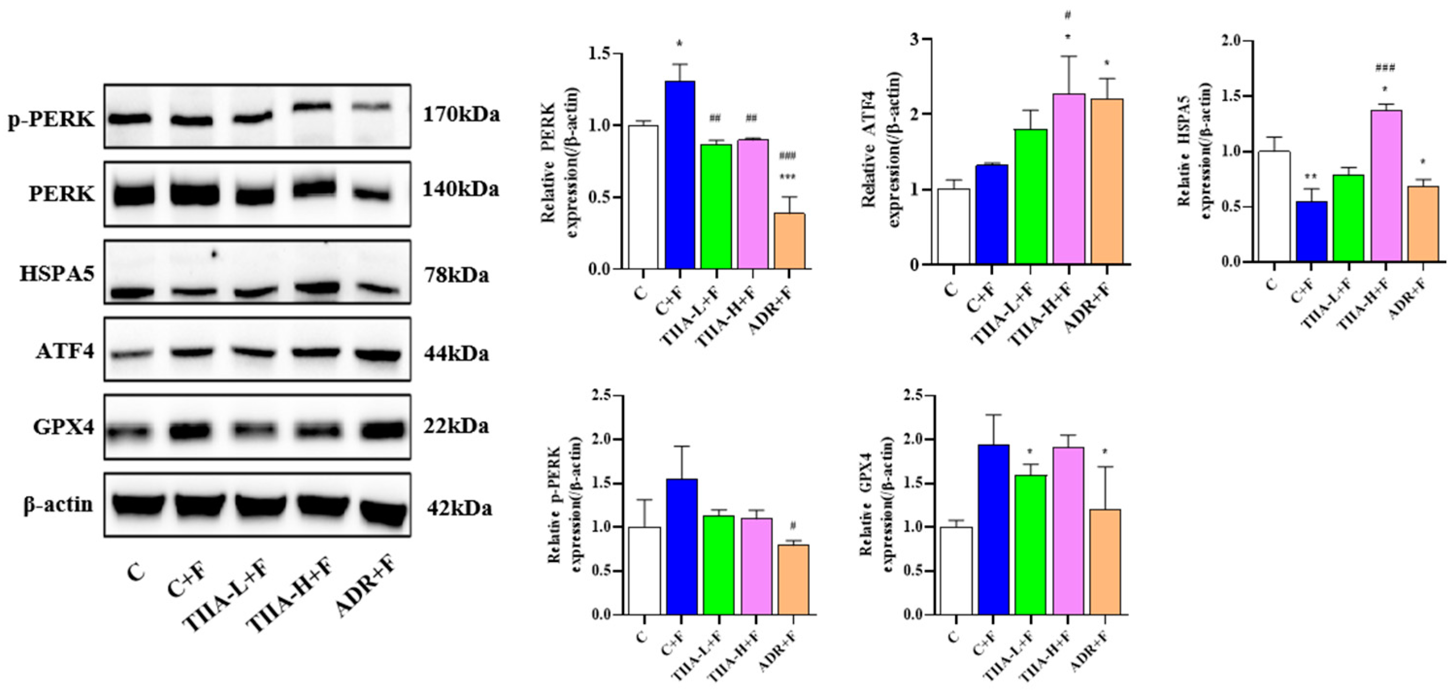 Molecules 29 01557 g005