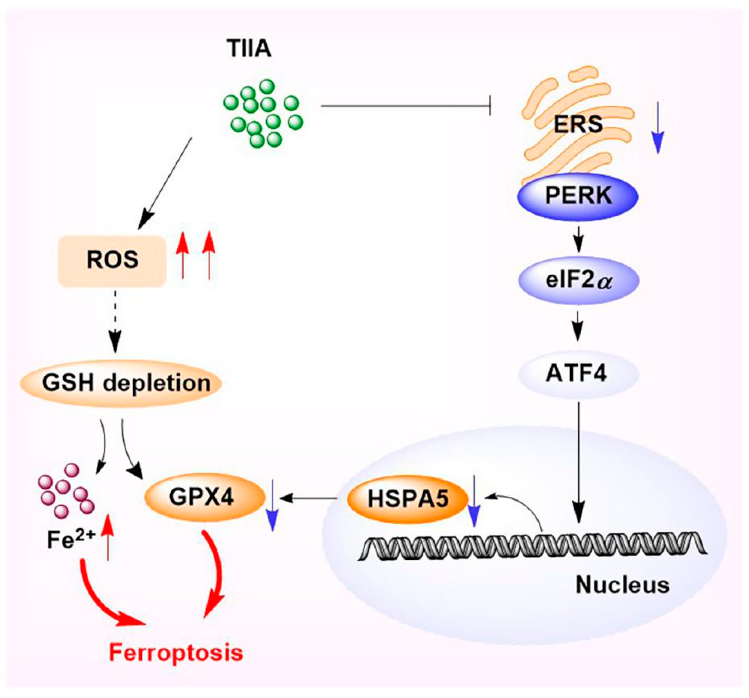 Molecules 29 01557 g009
