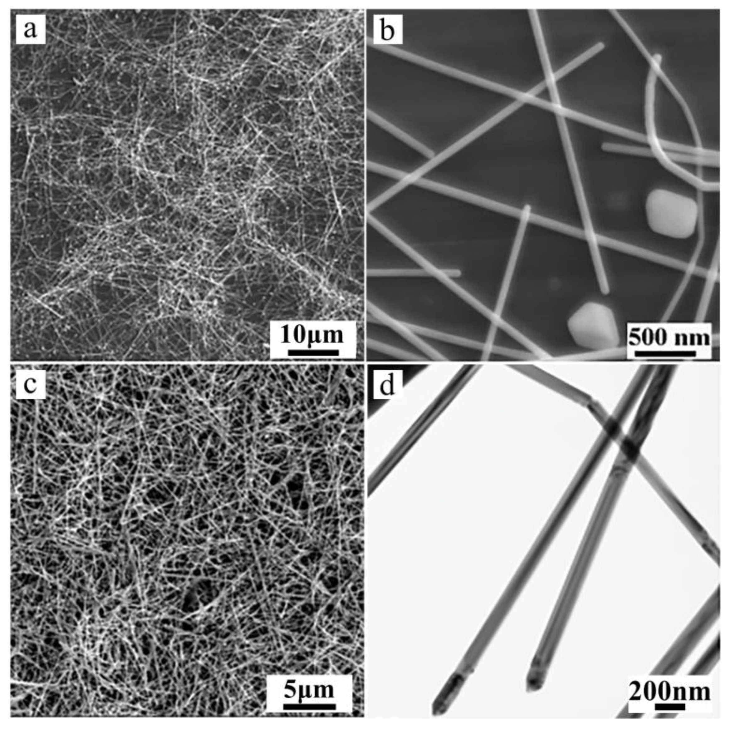 Molecules 29 01558 g002