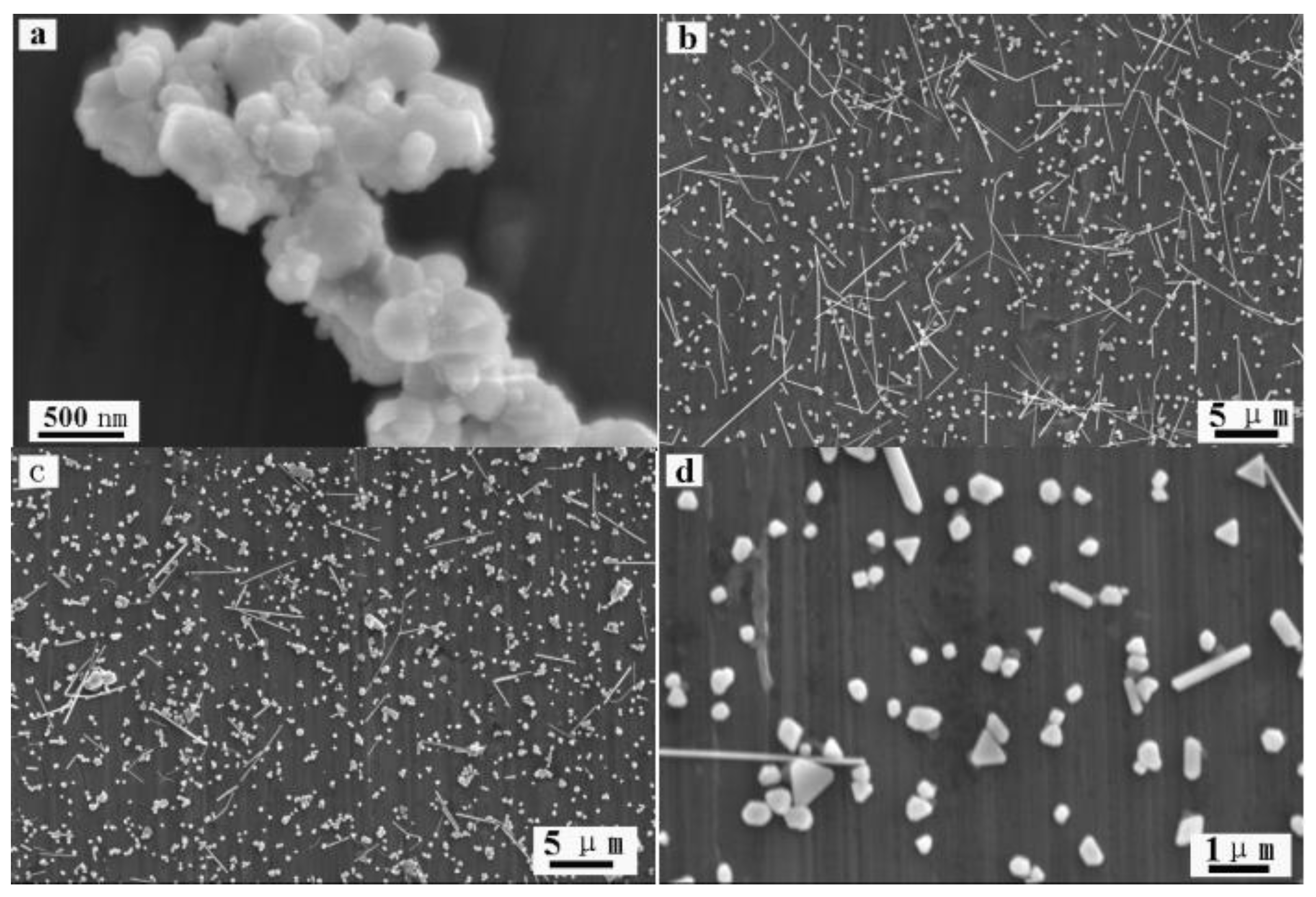 Molecules 29 01558 g003