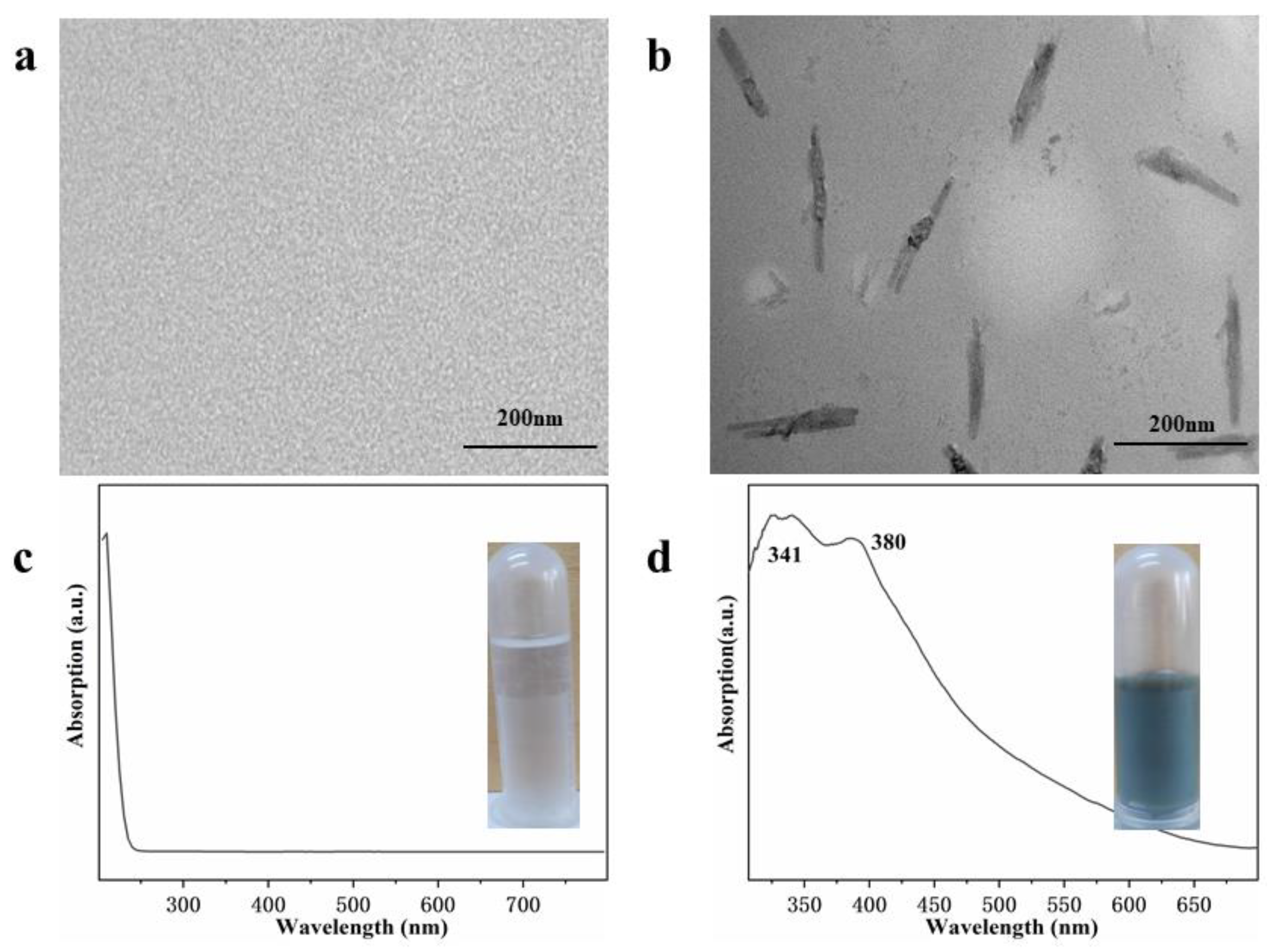 Molecules 29 01558 g005