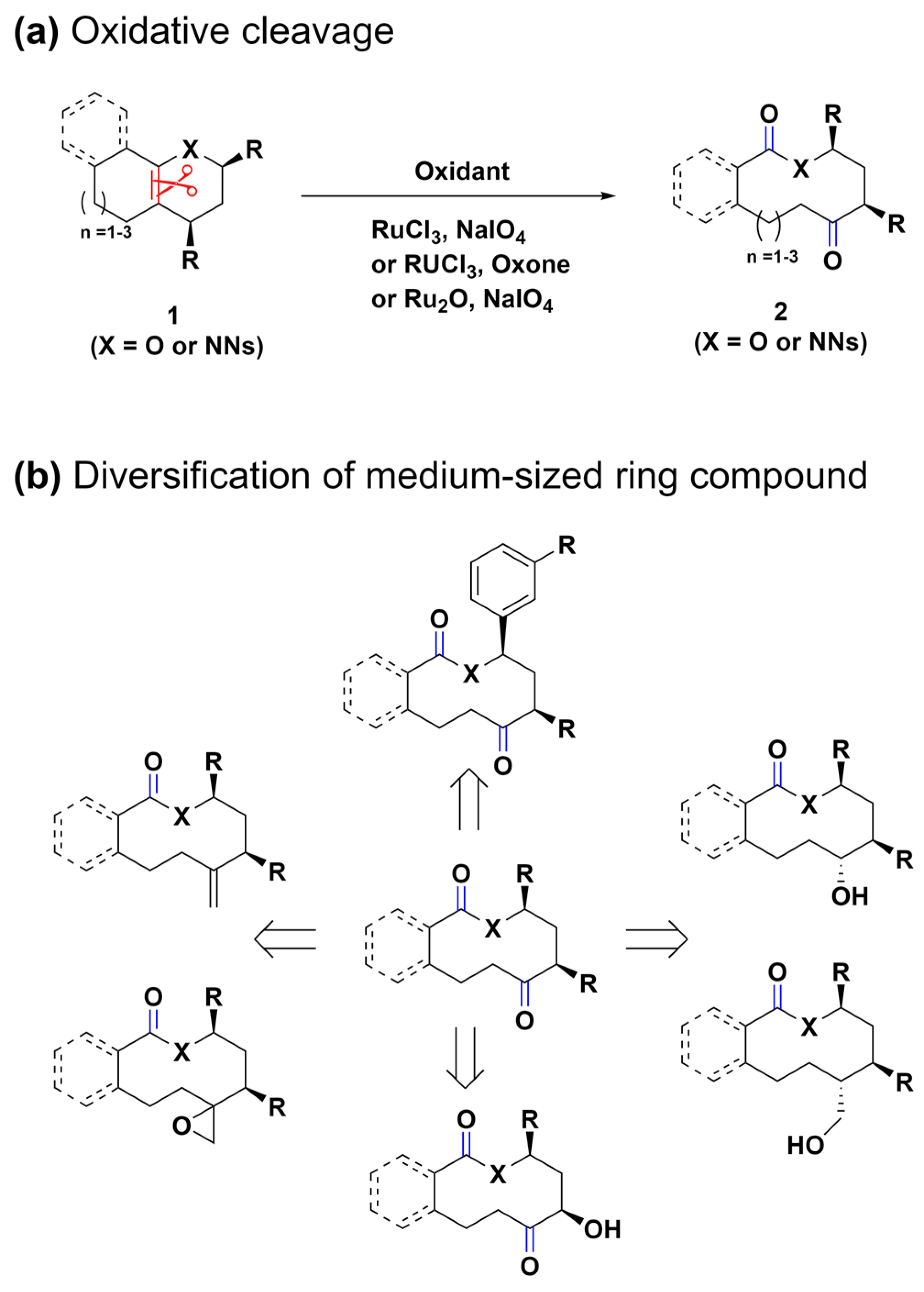 Molecules 29 01562 sch001