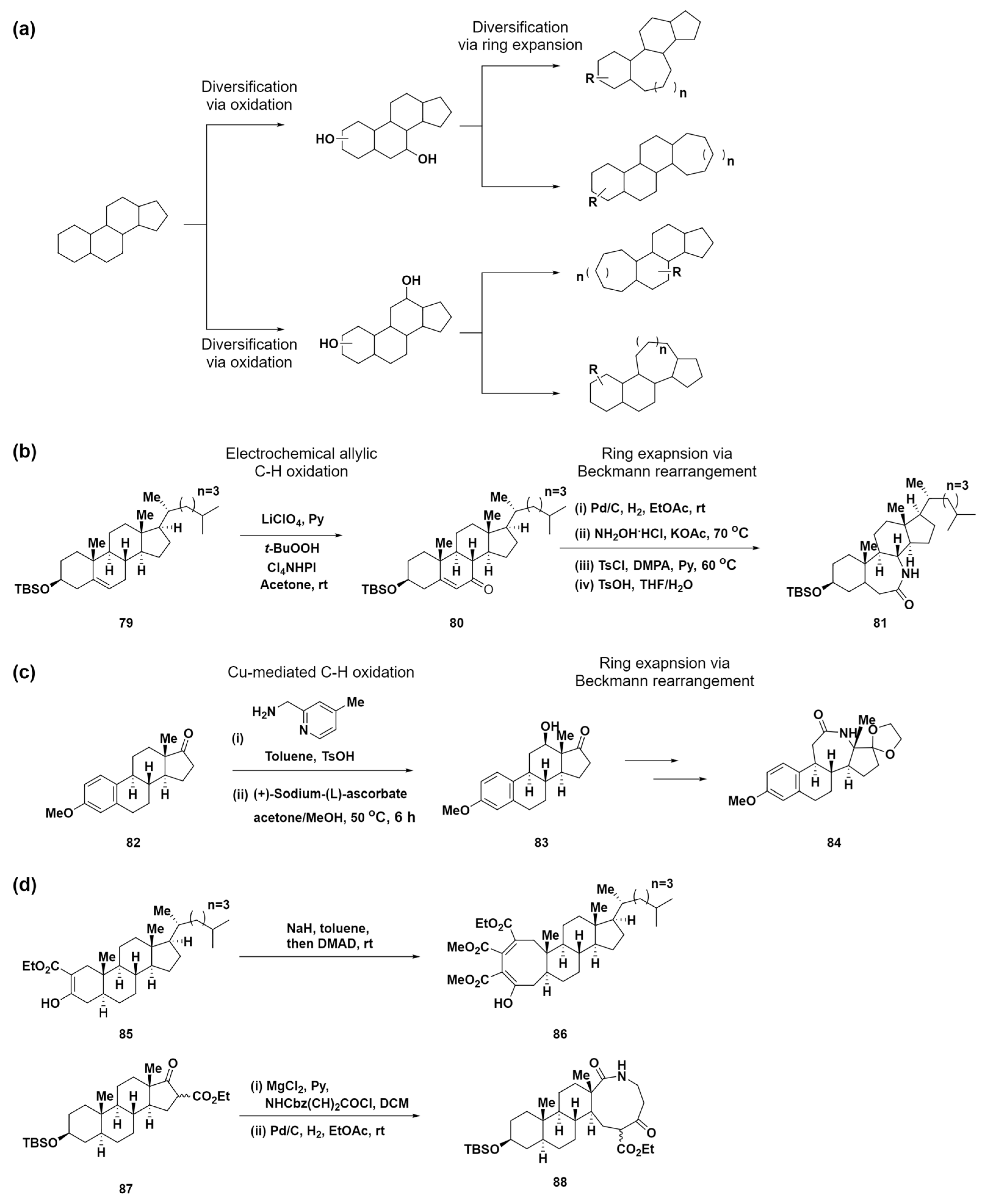 Molecules 29 01562 sch008