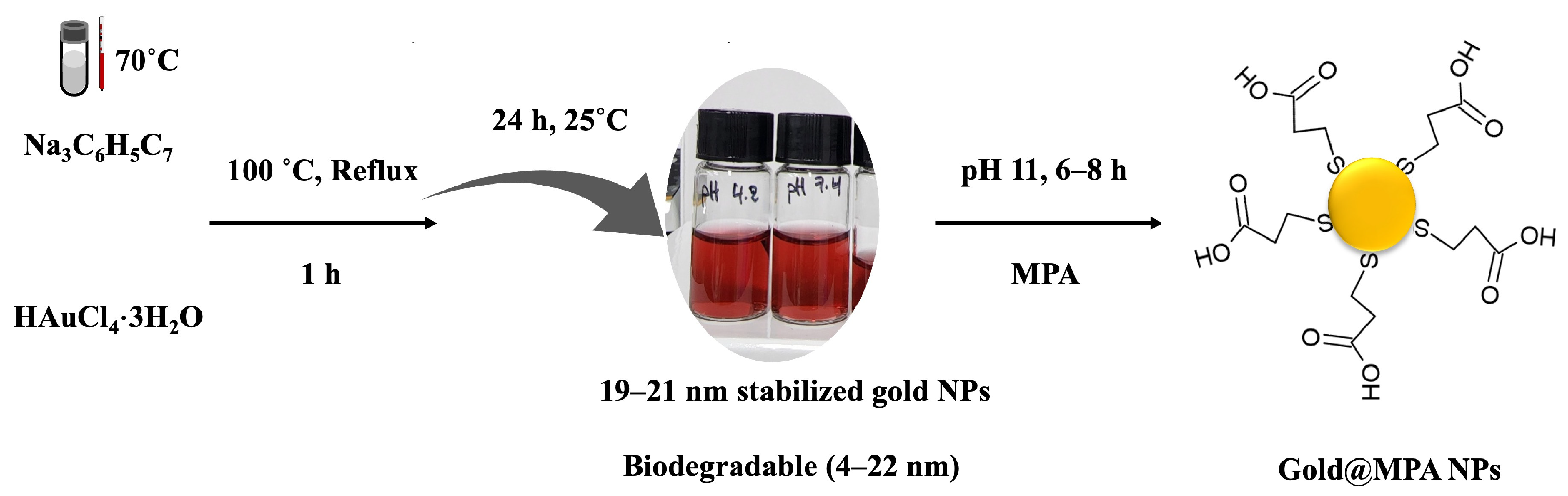 Molecules 29 01564 g009