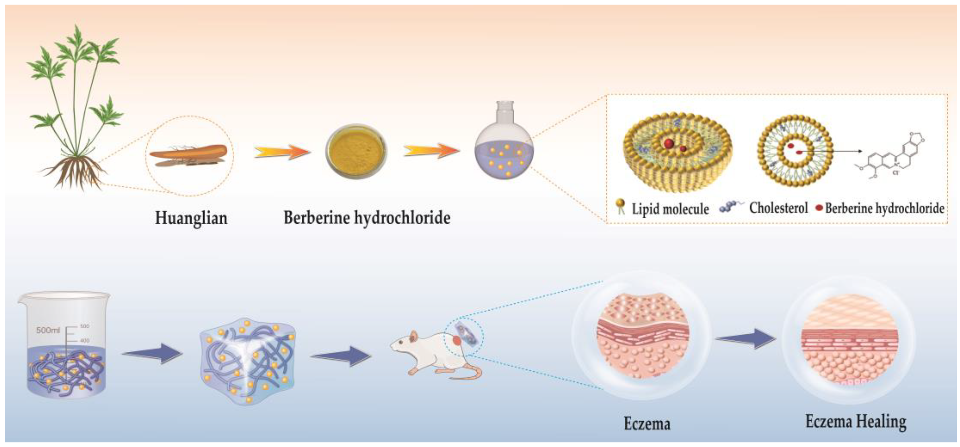 Evaluation of Antioxidant Activity and Treatment of Eczema by Berberine  Hydrochloride-Loaded Liposomes-in-Gel