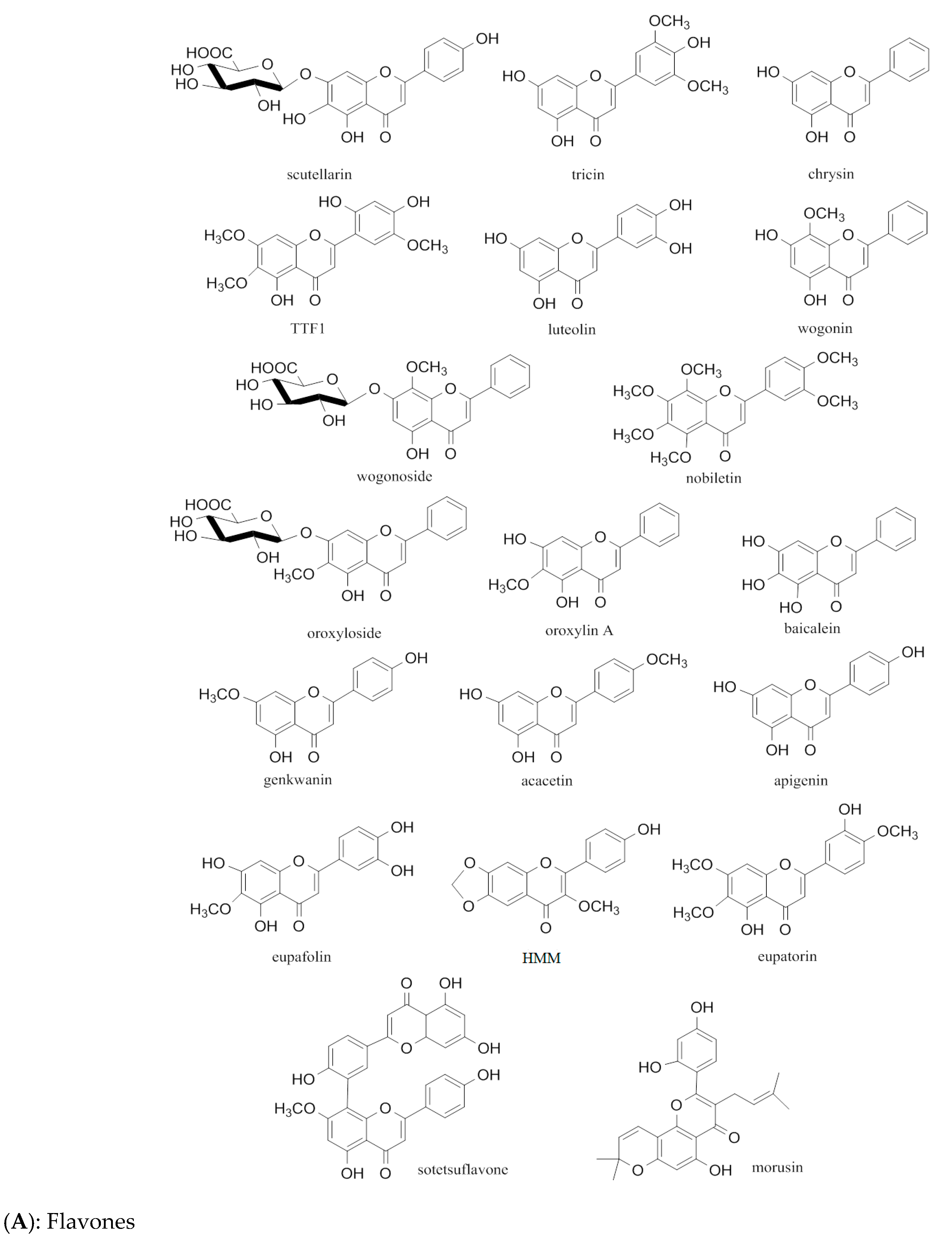 Molecules 29 01570 g003a Molecules 29 01570 g003a